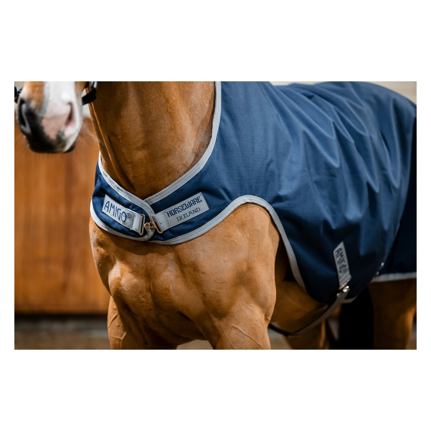 HORSEWARE Trainingsdecke AMIGO Ripstop 900D Walker Rug – Ansicht 6