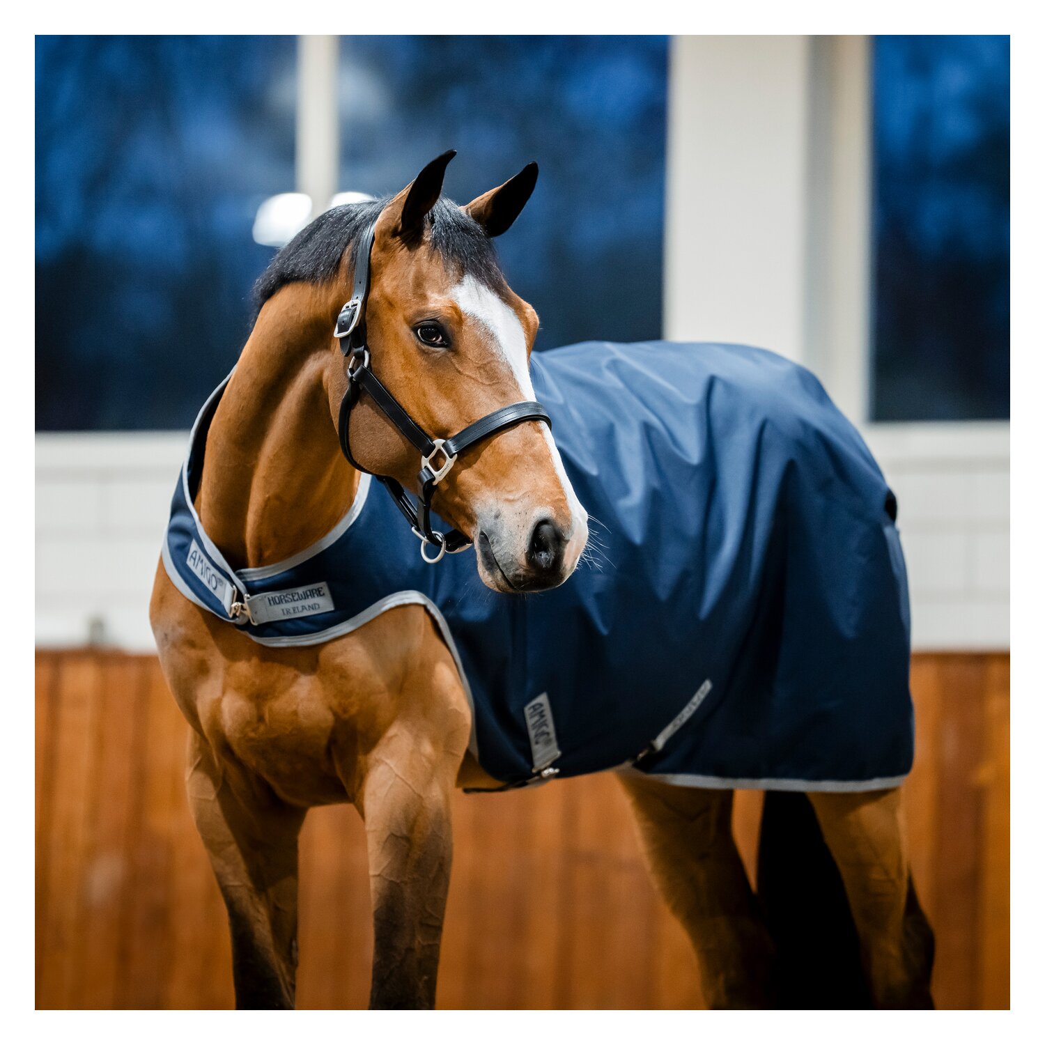 HORSEWARE Trainingsdecke AMIGO Ripstop 900D Walker Rug – Ansicht 2
