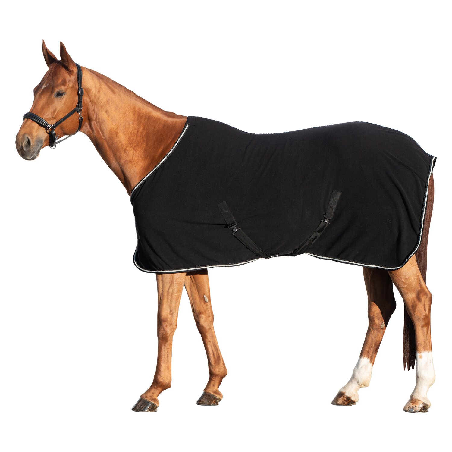 Horse-friends Abschwitzdecke Wakefield – Ansicht 1