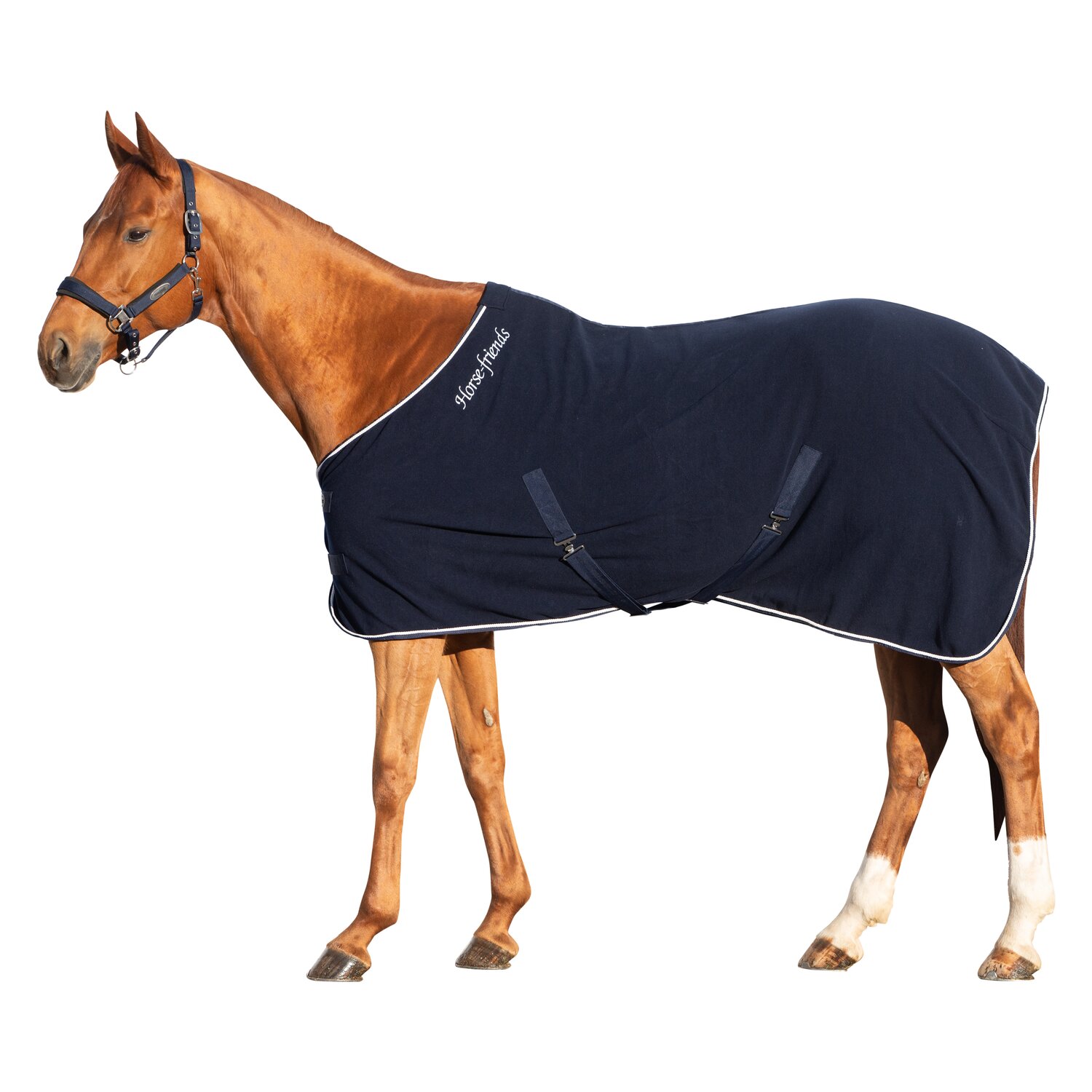 Horse-friends Abschwitzdecke Barnsley – Ansicht 2