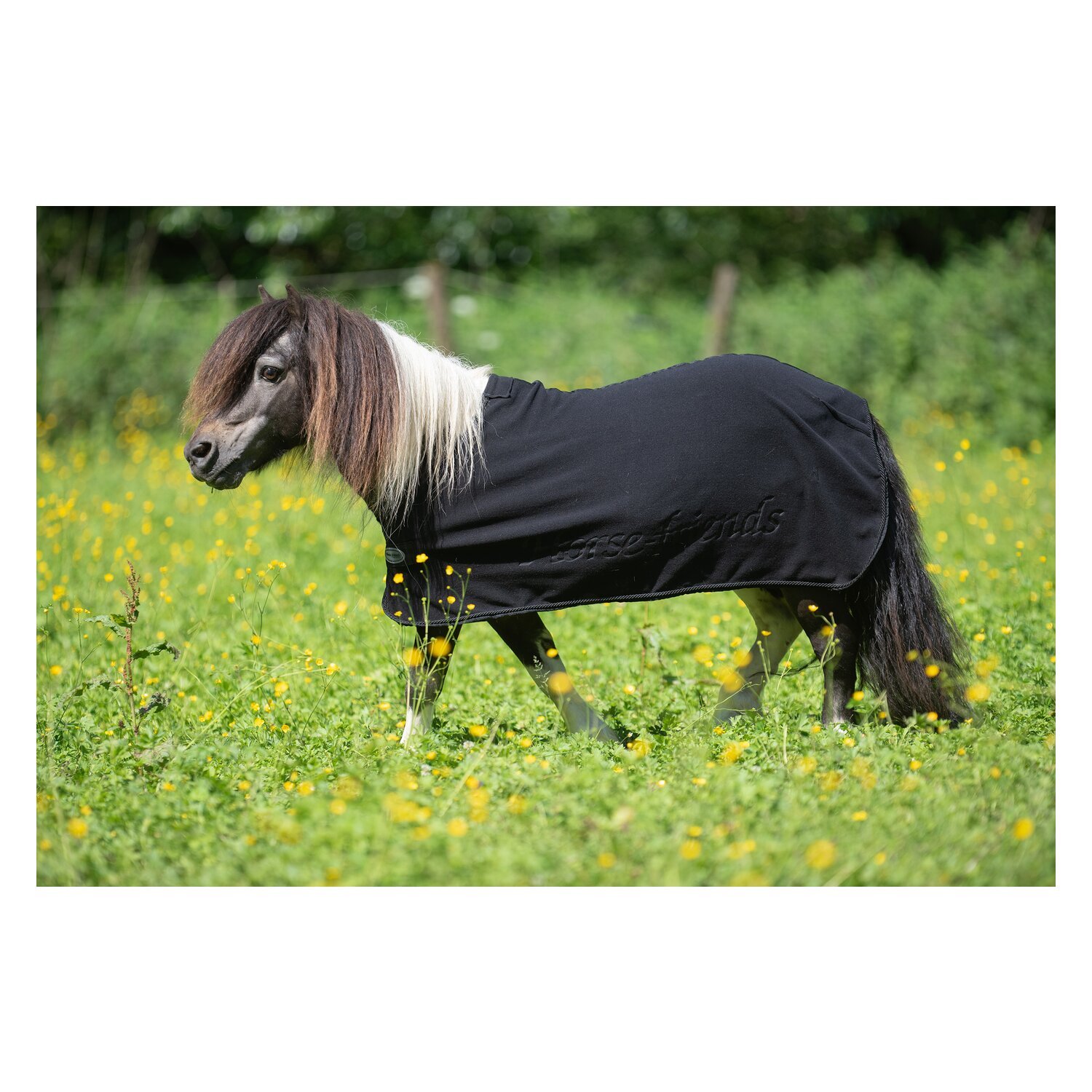 Horse-friends Abschwitzdecke York – Ansicht 3