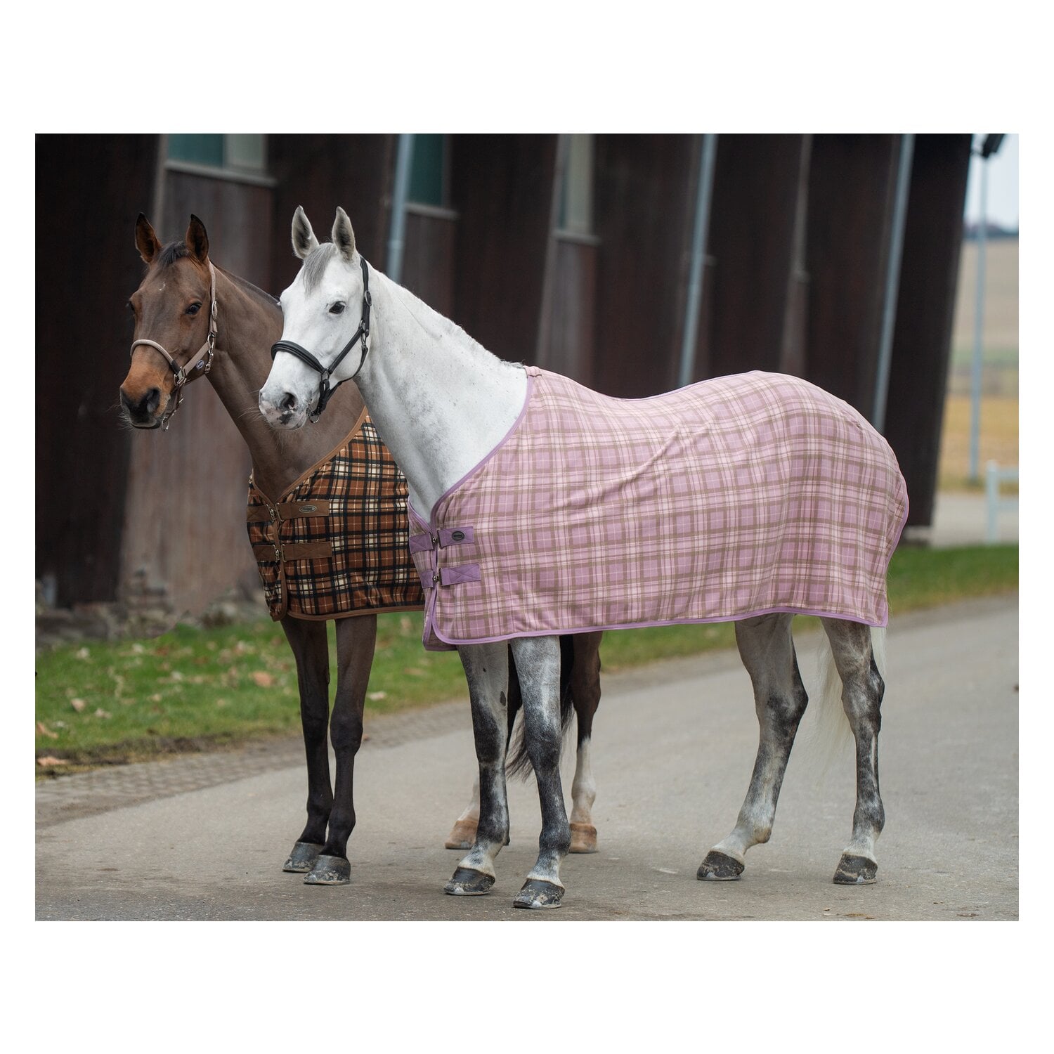 Horse-friends Abschwitzdecke Sefton &ndash; Ansicht 2