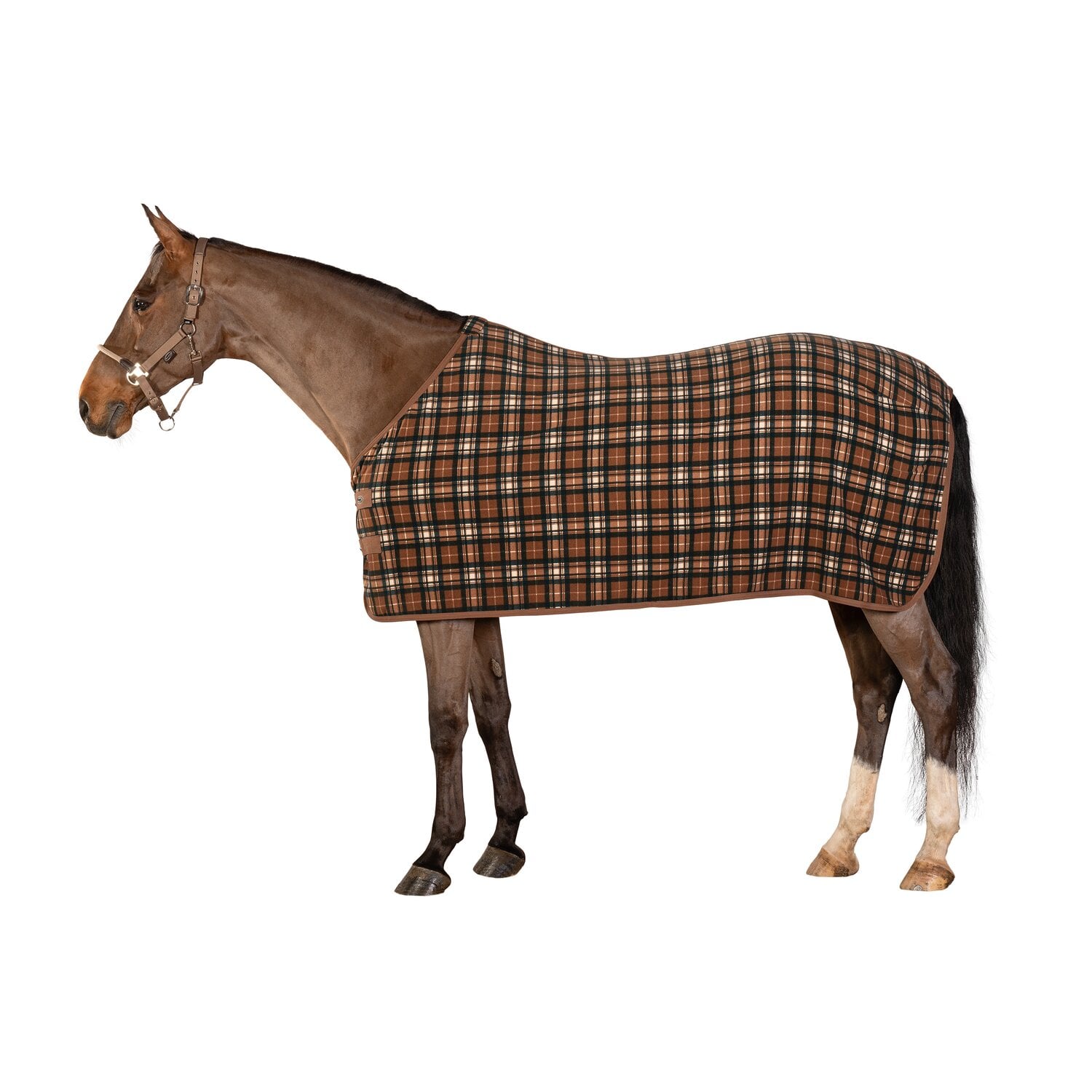 Horse-friends Abschwitzdecke Sefton &ndash; Ansicht 1