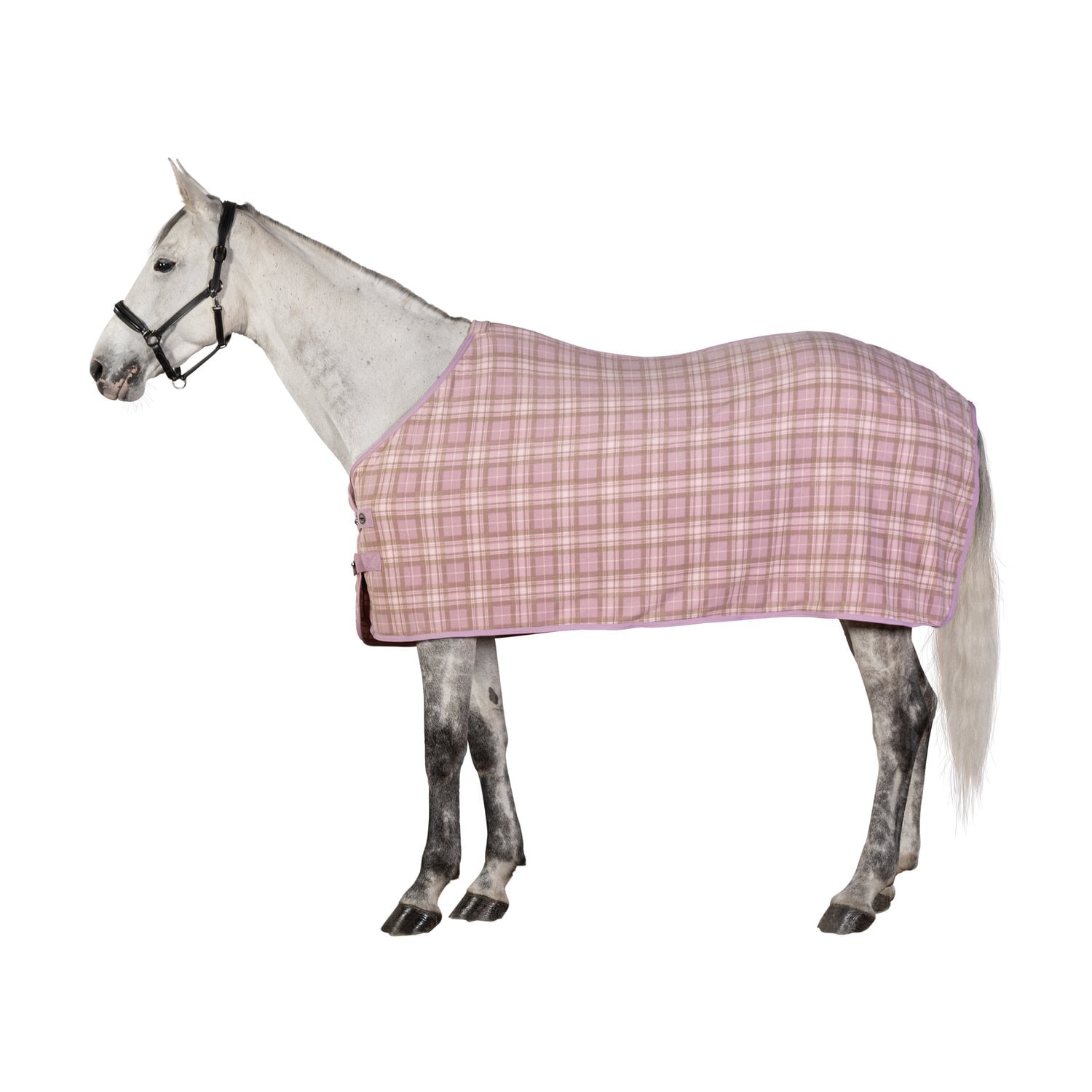 Horse-friends Abschwitzdecke Sefton &ndash; Ansicht 1