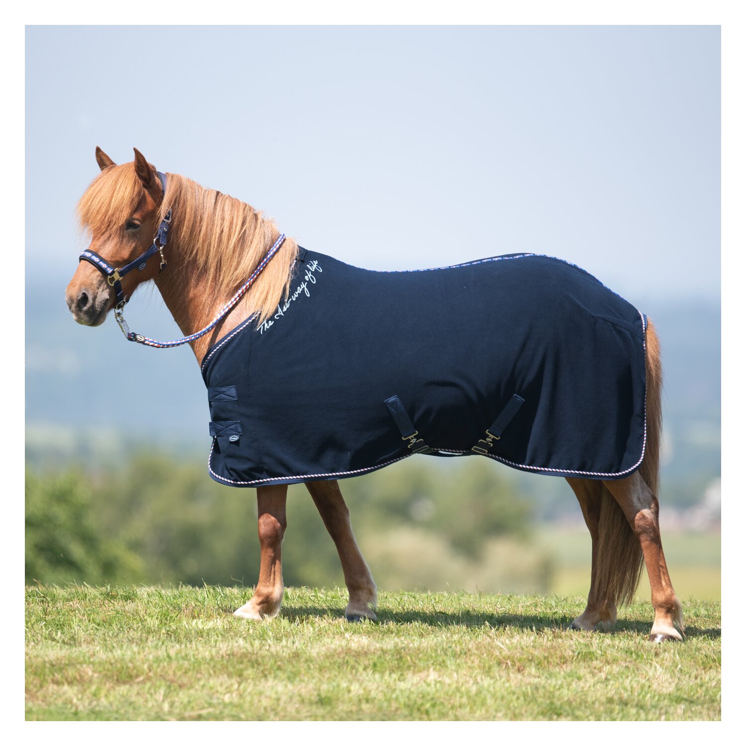 Horse-friends Island-Abschwitzdecke Keflavik – Ansicht 2