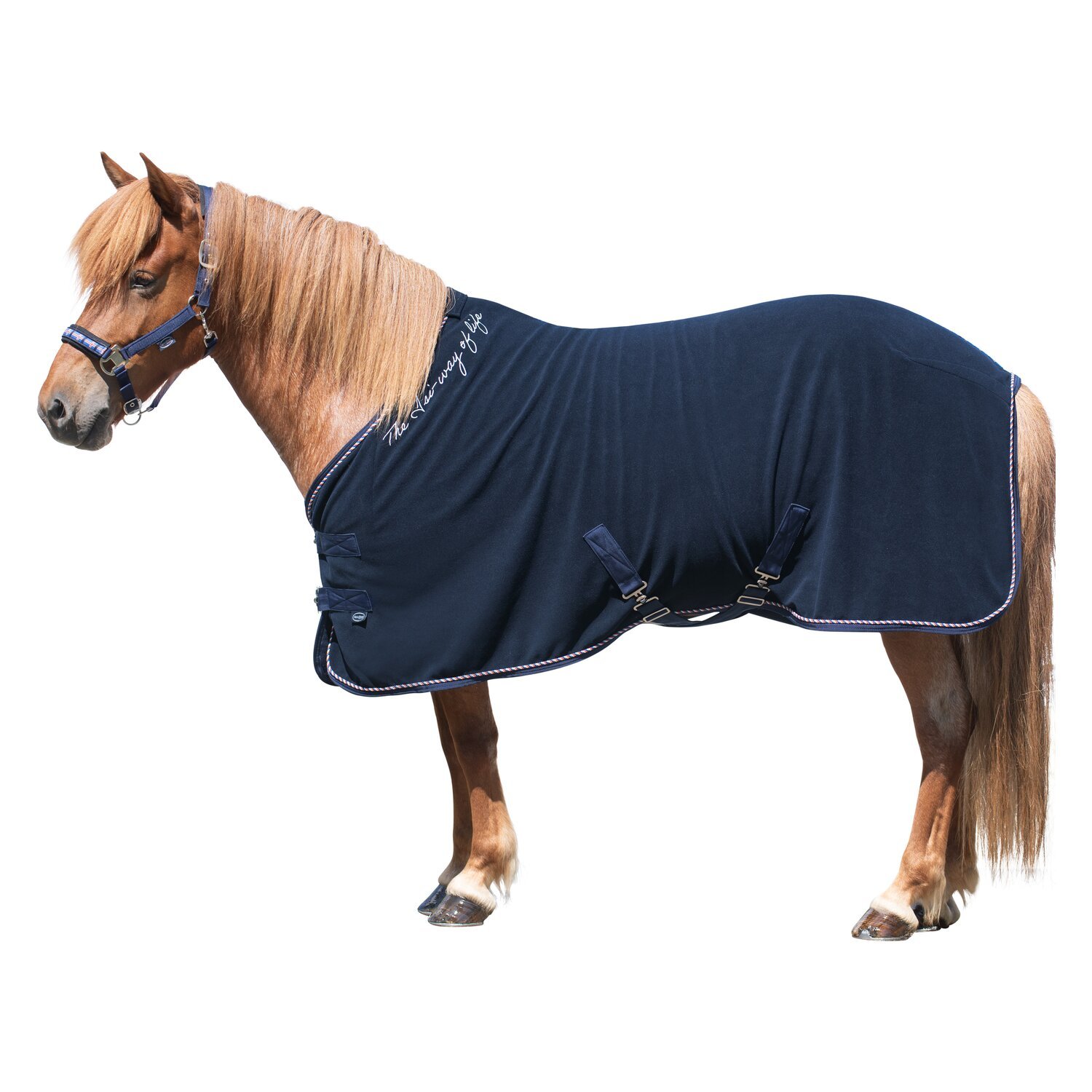 Horse-friends Island-Abschwitzdecke Keflavik – Ansicht 1