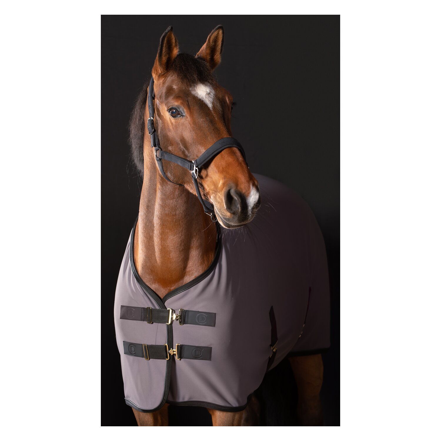 Cheval de Luxe Transportdecke Nîmes &ndash; Ansicht 2