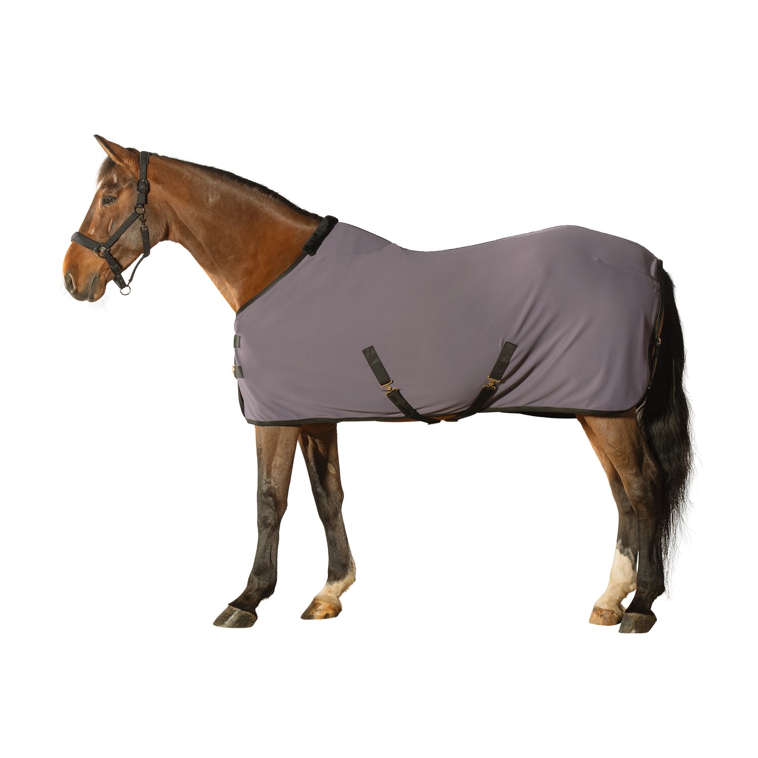 Cheval de Luxe Transportdecke Nîmes &ndash; Ansicht 1