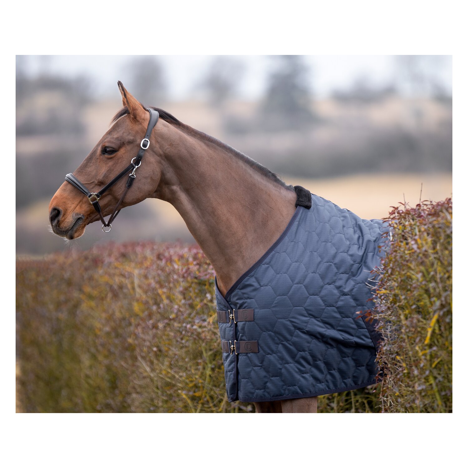 Cheval de Luxe Stalldecke Pau 100 g &ndash; Ansicht 2
