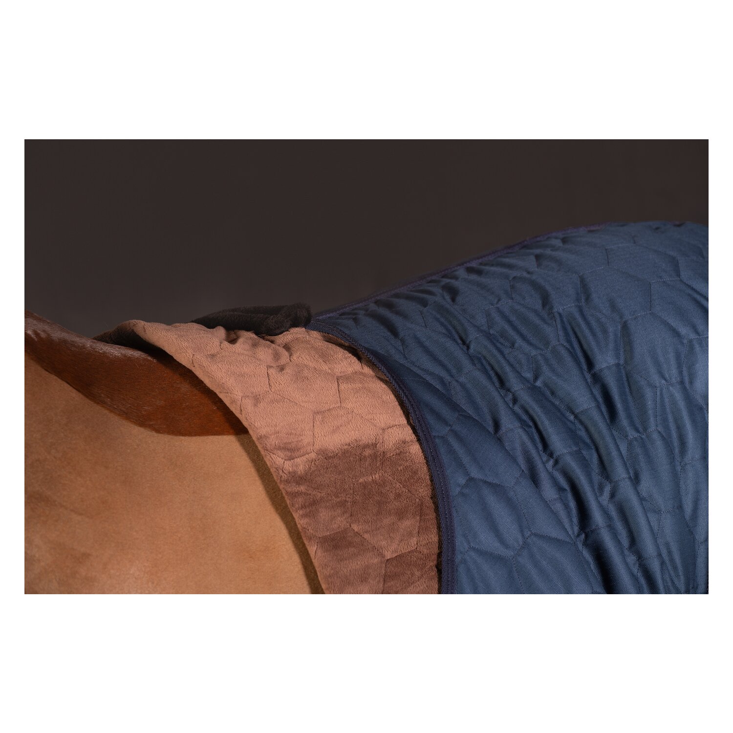 Cheval de Luxe Stalldecke Pau 100 g &ndash; Ansicht 3