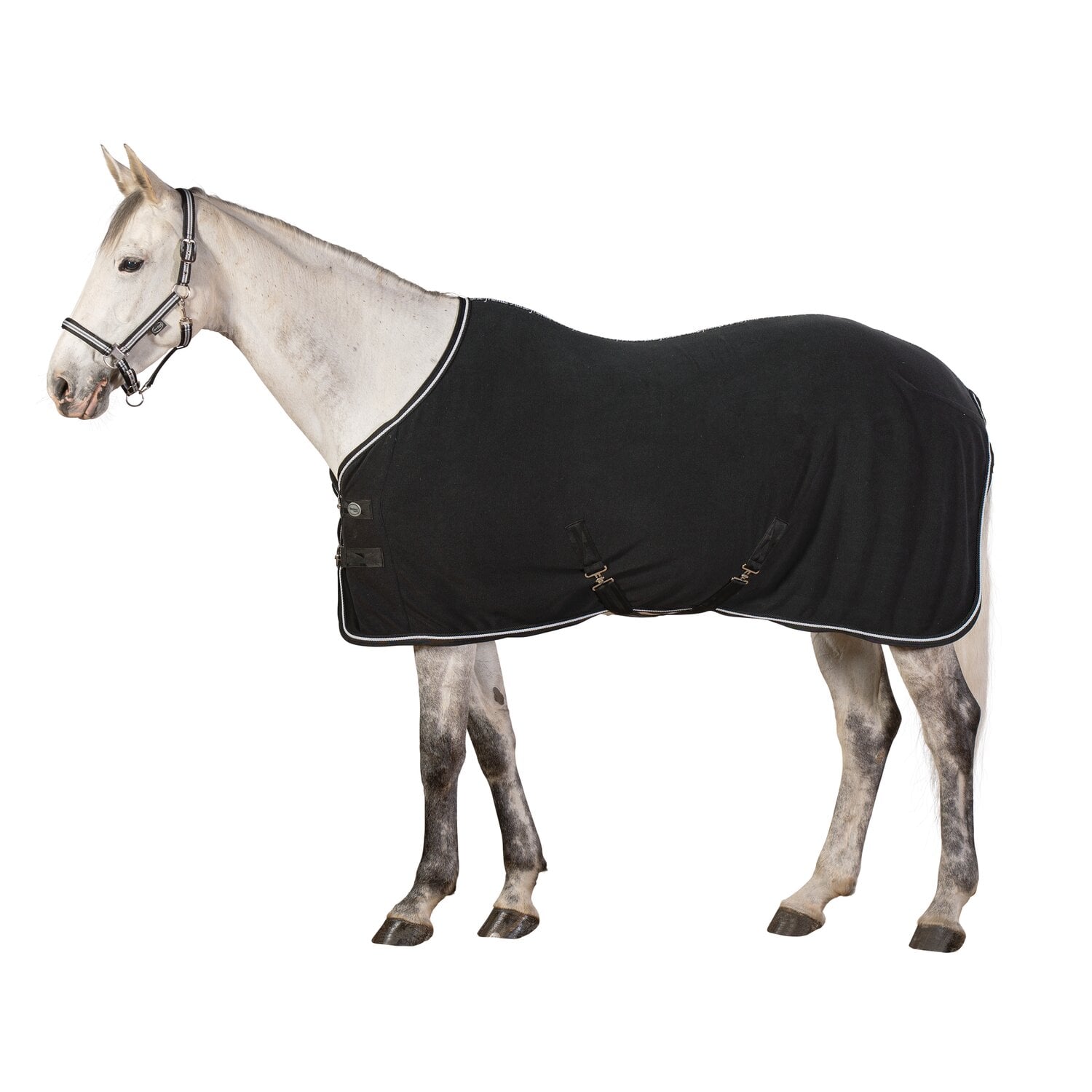 Horse-freinds Abschwitzdecke Nottingham, Horse-friends &ndash; Ansicht 1