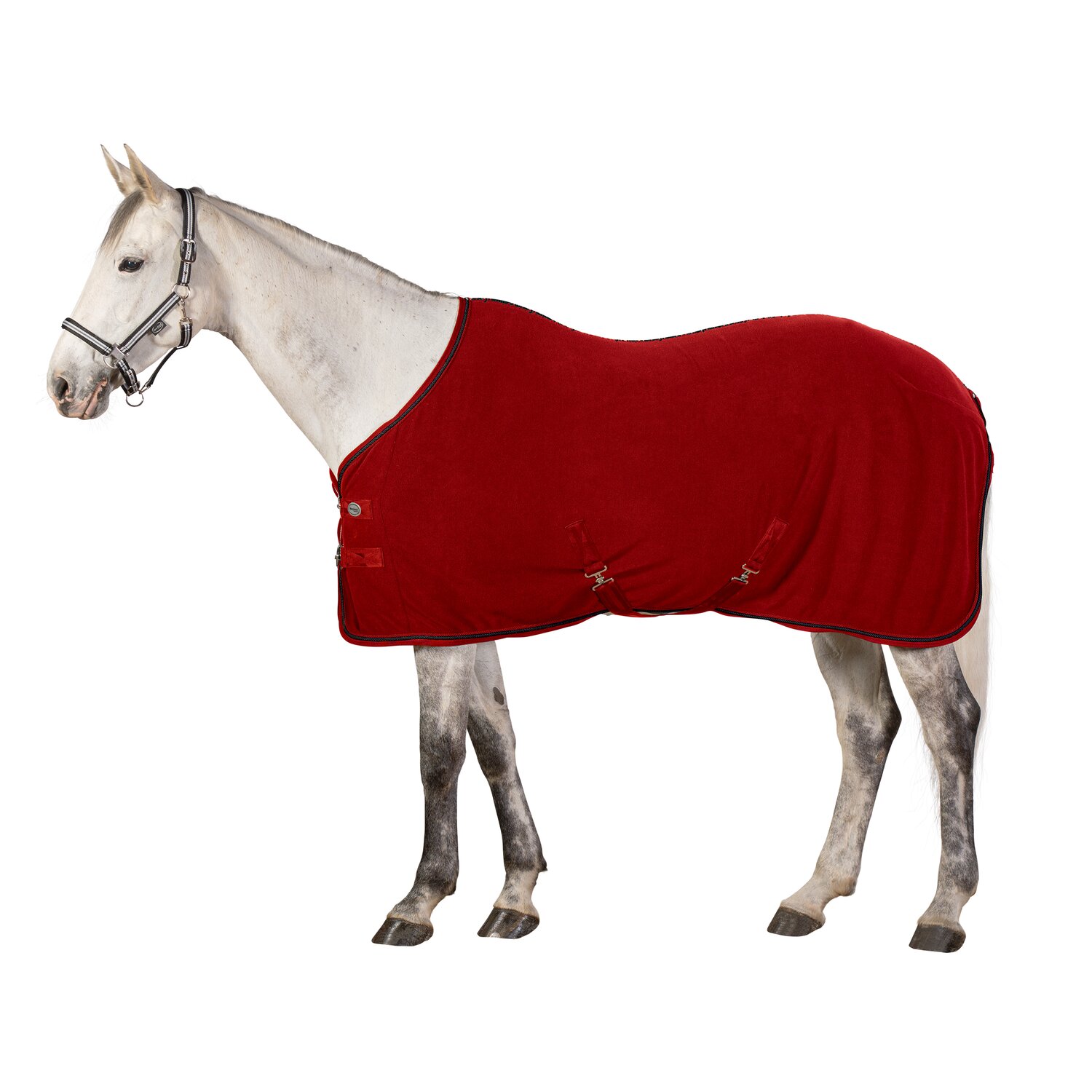 Horse-freinds Abschwitzdecke Nottingham, Horse-friends &ndash; Ansicht 1
