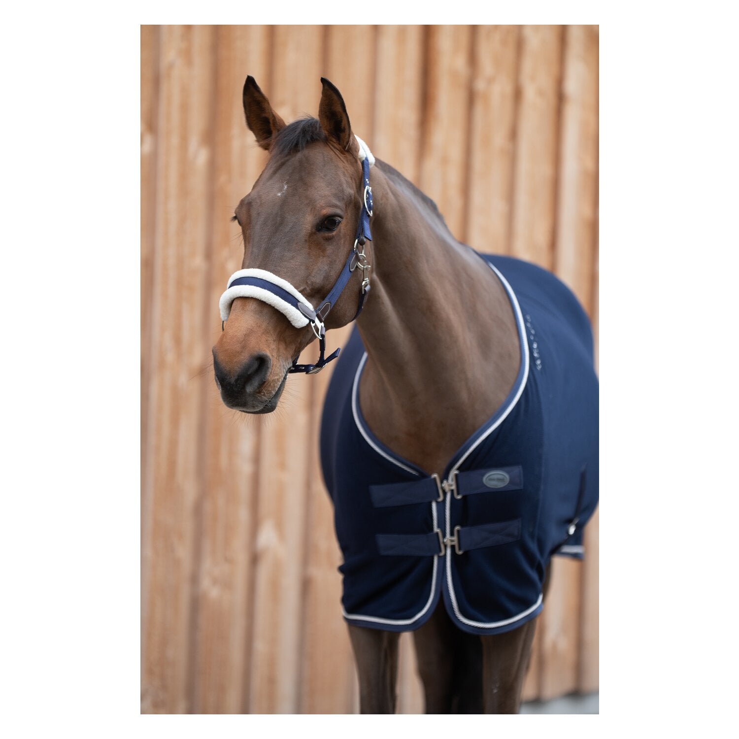Horse-friends Abschwitzdecke Conventry &ndash; Ansicht 2