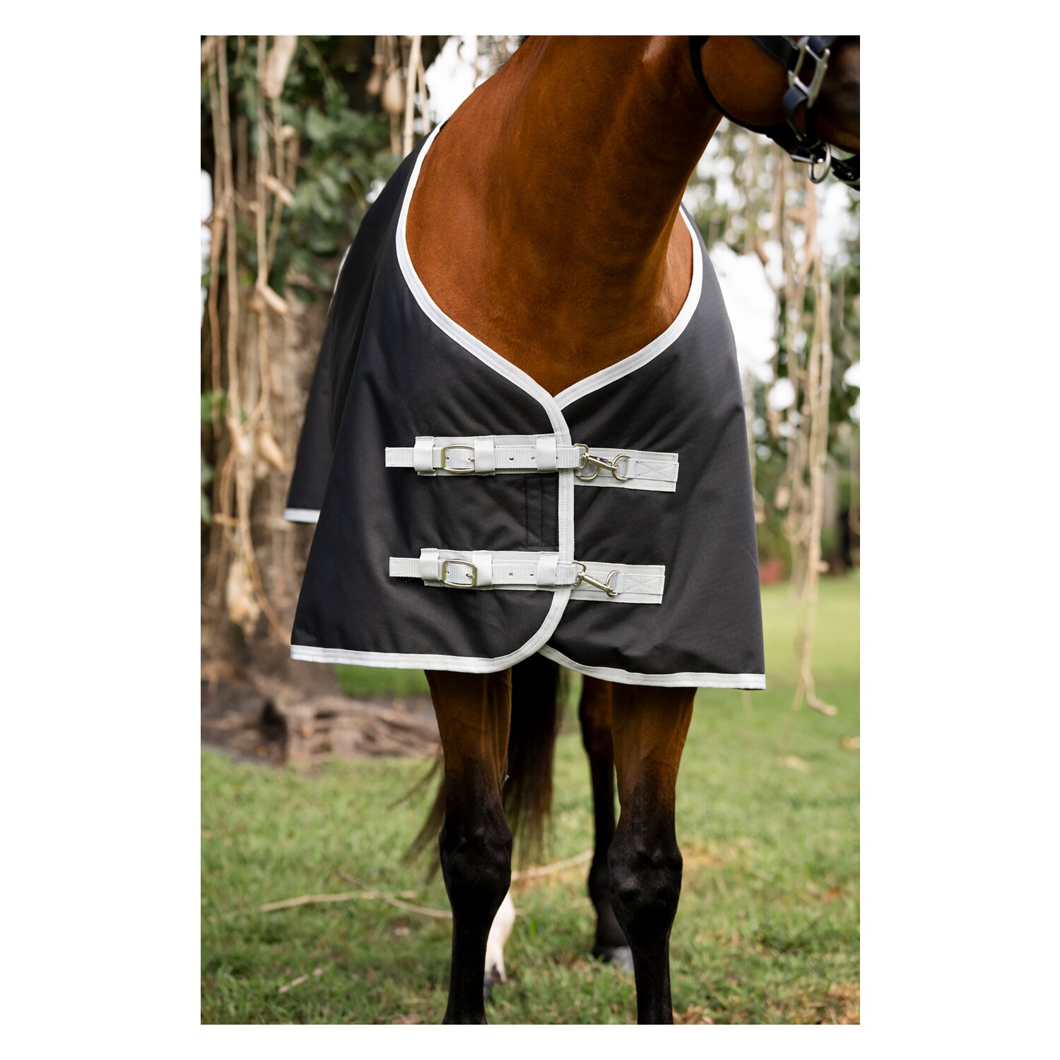 HORSEWARE Outdoordecke AMIGO Ripstop 900D Quarter Plus Turnout Horse Plus, 200g &ndash; Ansicht 2