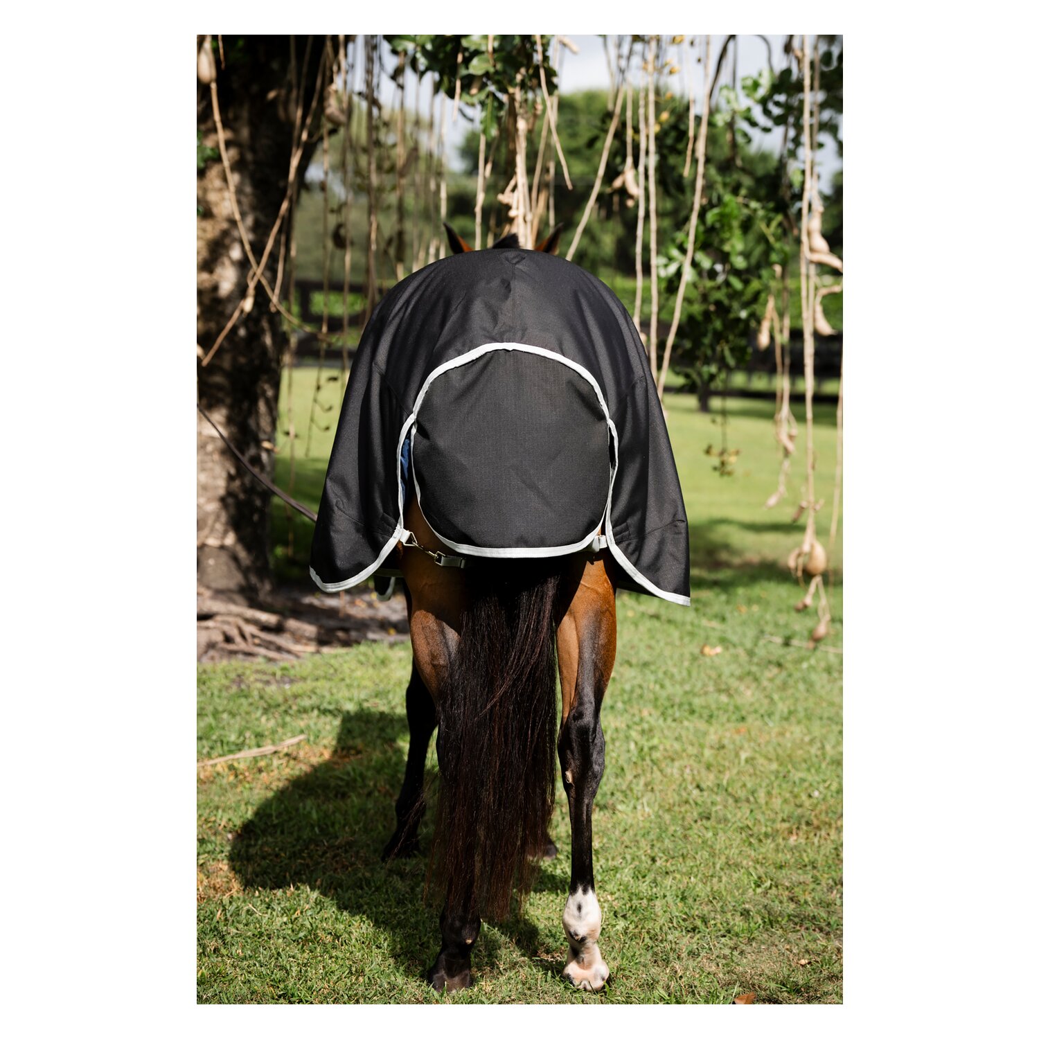 HORSEWARE Outdoordecke AMIGO Ripstop 900D Quarter Plus Turnout Horse Plus, 200g &ndash; Ansicht 4
