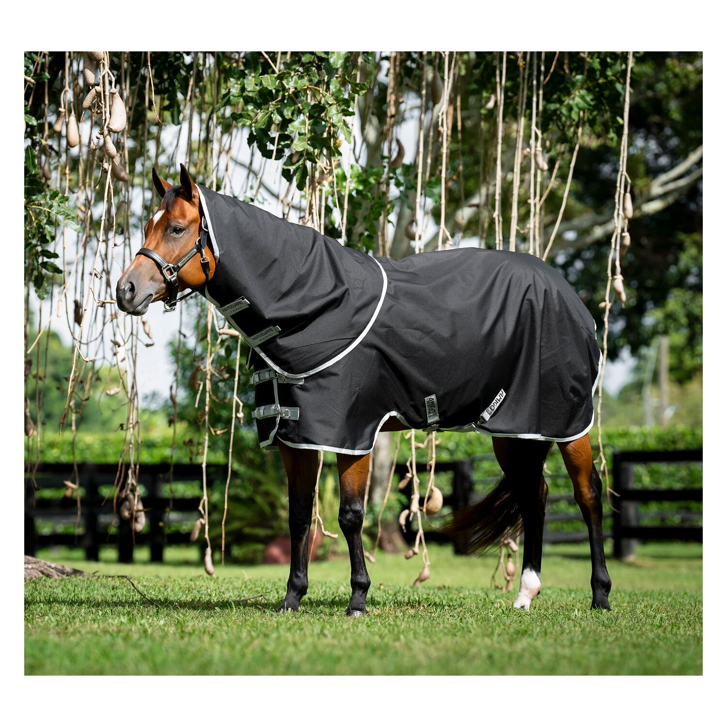 HORSEWARE Outdoordecke AMIGO Ripstop 900D Quarter Plus Turnout Horse Plus, 200g &ndash; Ansicht 1