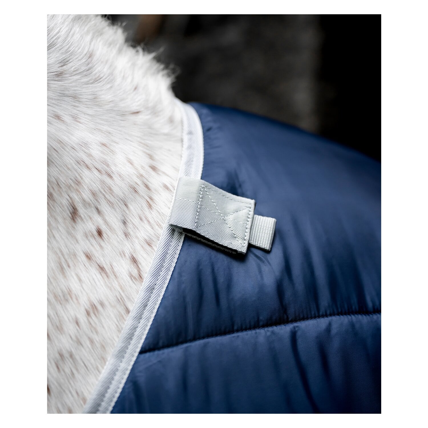 HORSEWARE Unterdecke Pony Liner, 100 g &ndash; Ansicht 6