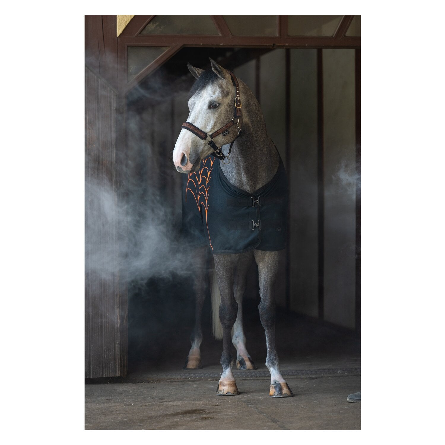 Horse-friends Abschwitzdecke Halloween &ndash; Ansicht 4