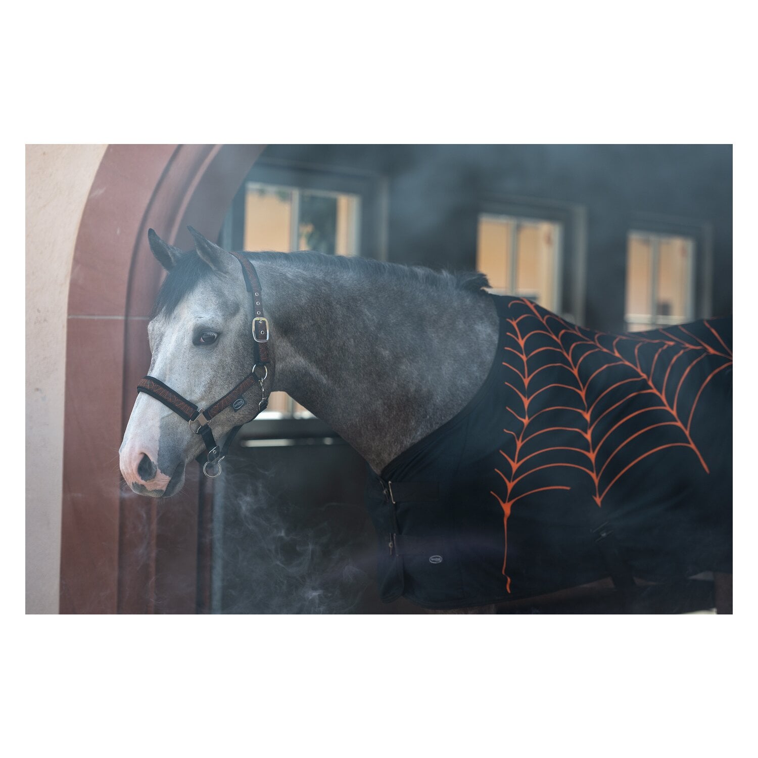Horse-friends Abschwitzdecke Halloween &ndash; Ansicht 3