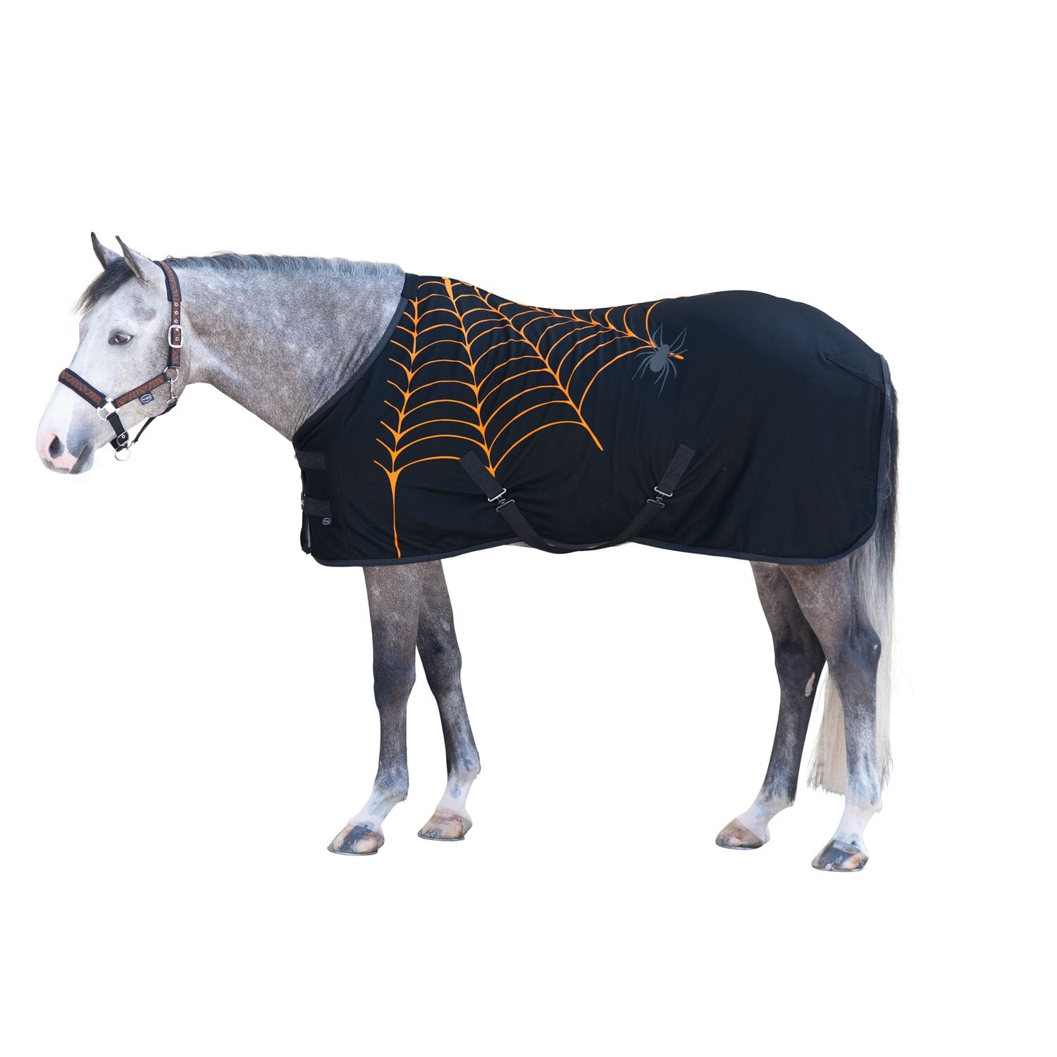 Horse-friends Abschwitzdecke Halloween &ndash; Ansicht 1