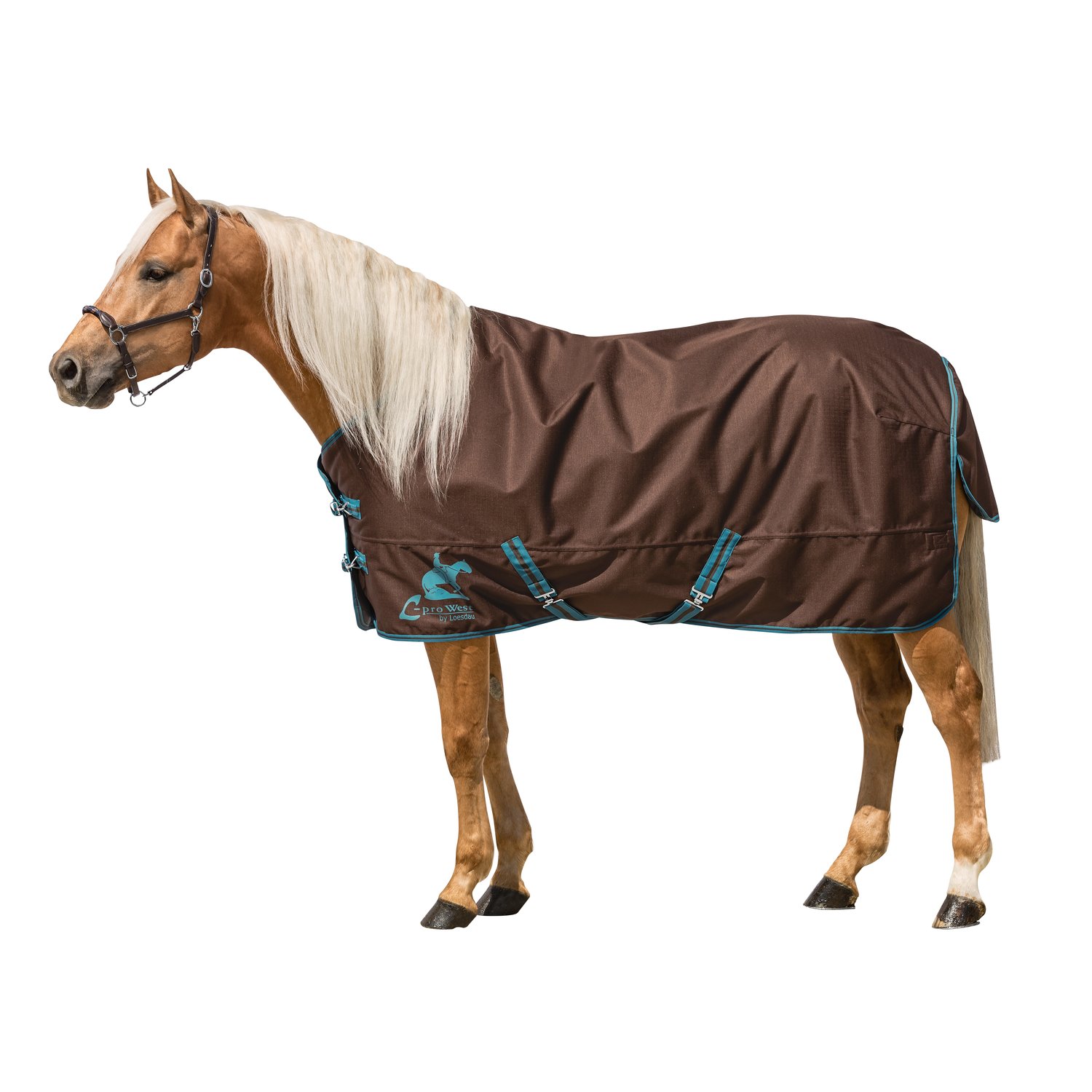L-pro West Paddockdecke-/Outdoordecke 250 g – Ansicht 1