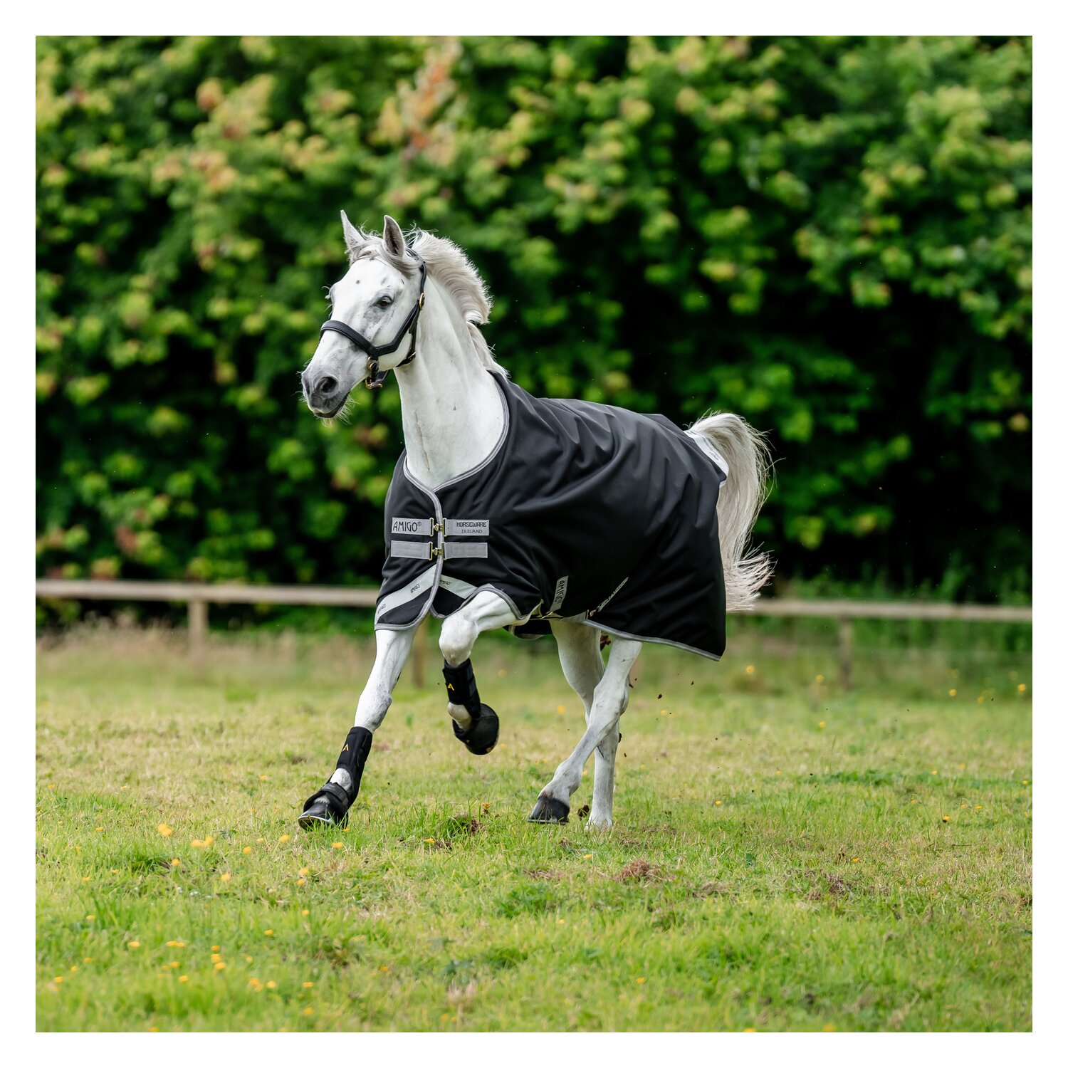 Horseware Outdoordecke AMIGO 12, 250 g – Ansicht 3