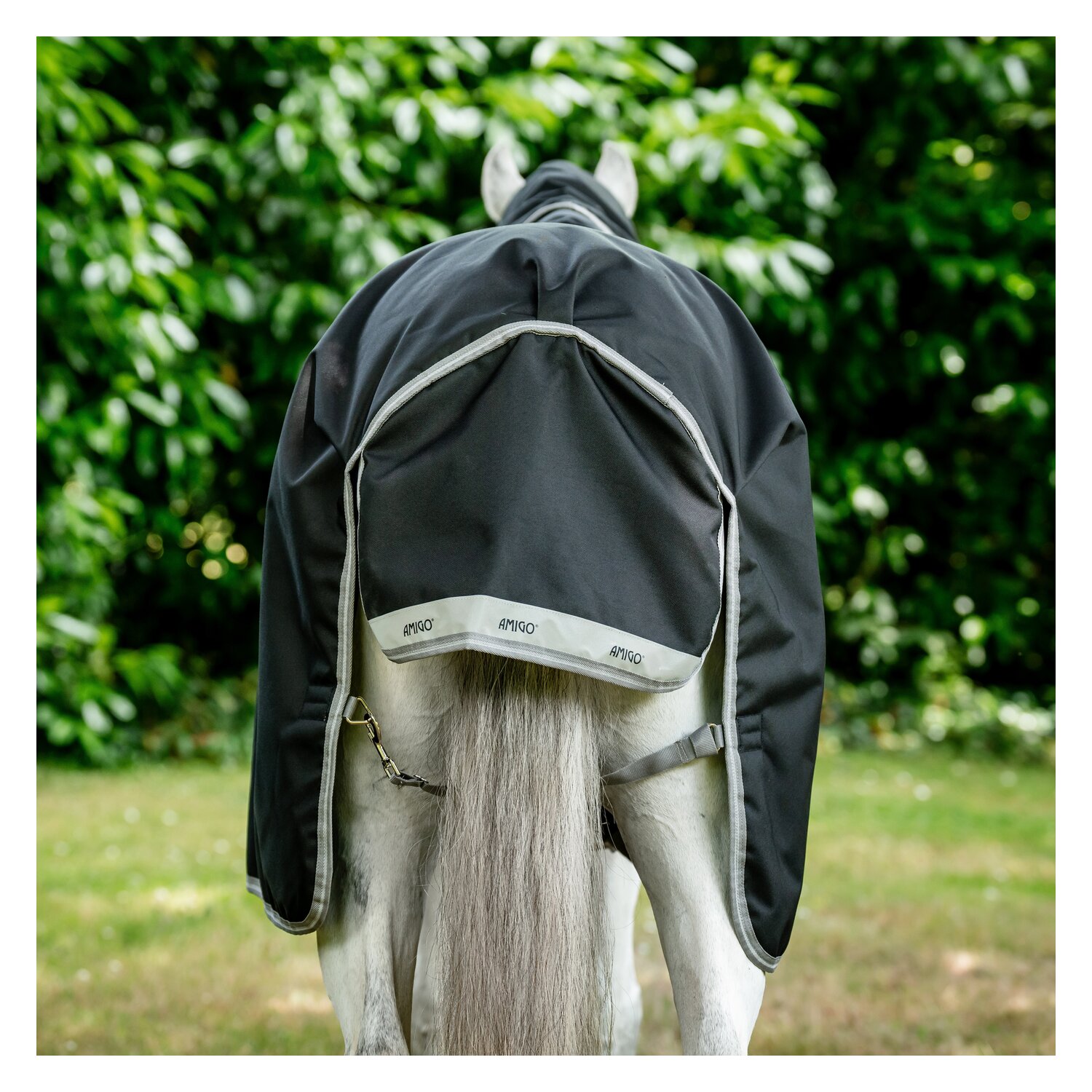 Horseware Outdoordecke AMIGO 12, 250 g – Ansicht 6