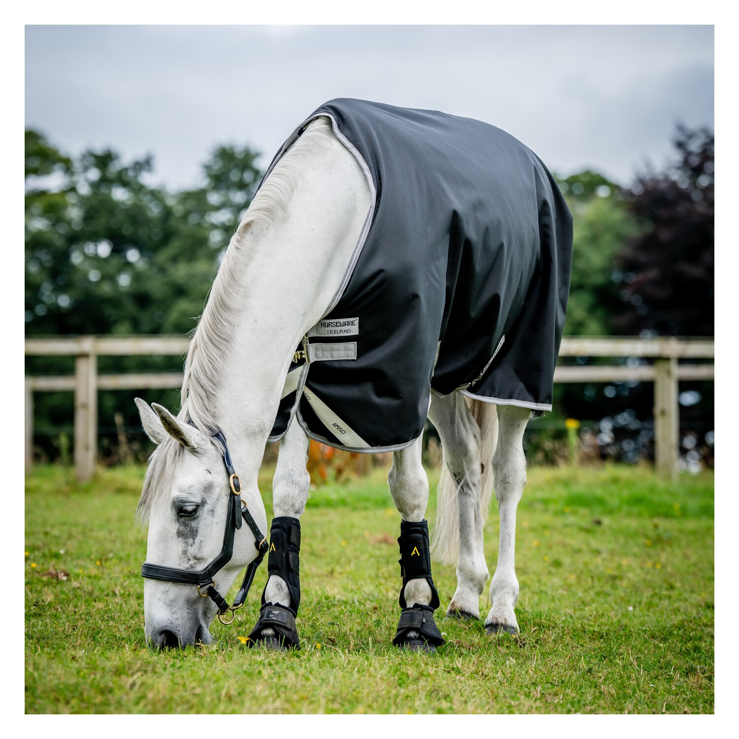 Horseware Outdoordecke AMIGO 12, 250 g – Ansicht 2