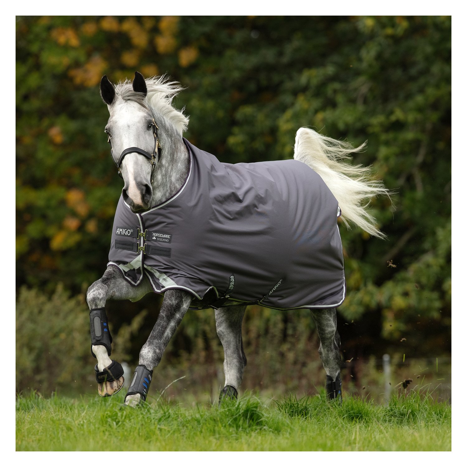 Horseware Outdoordecke AMIGO 12, 250 g – Ansicht 1