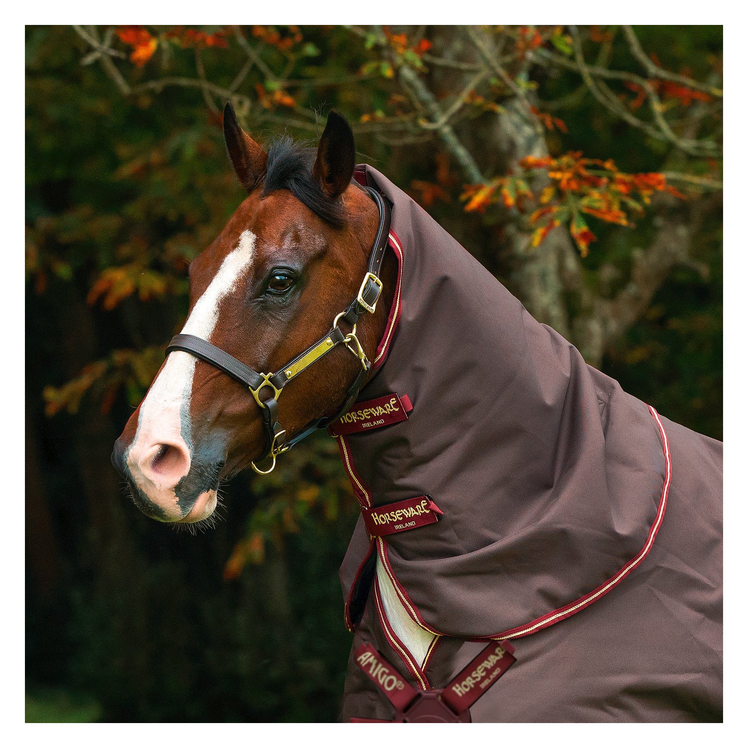 Horseware Halsteil AMIGO 1200 D, 0 g &ndash; Ansicht 1