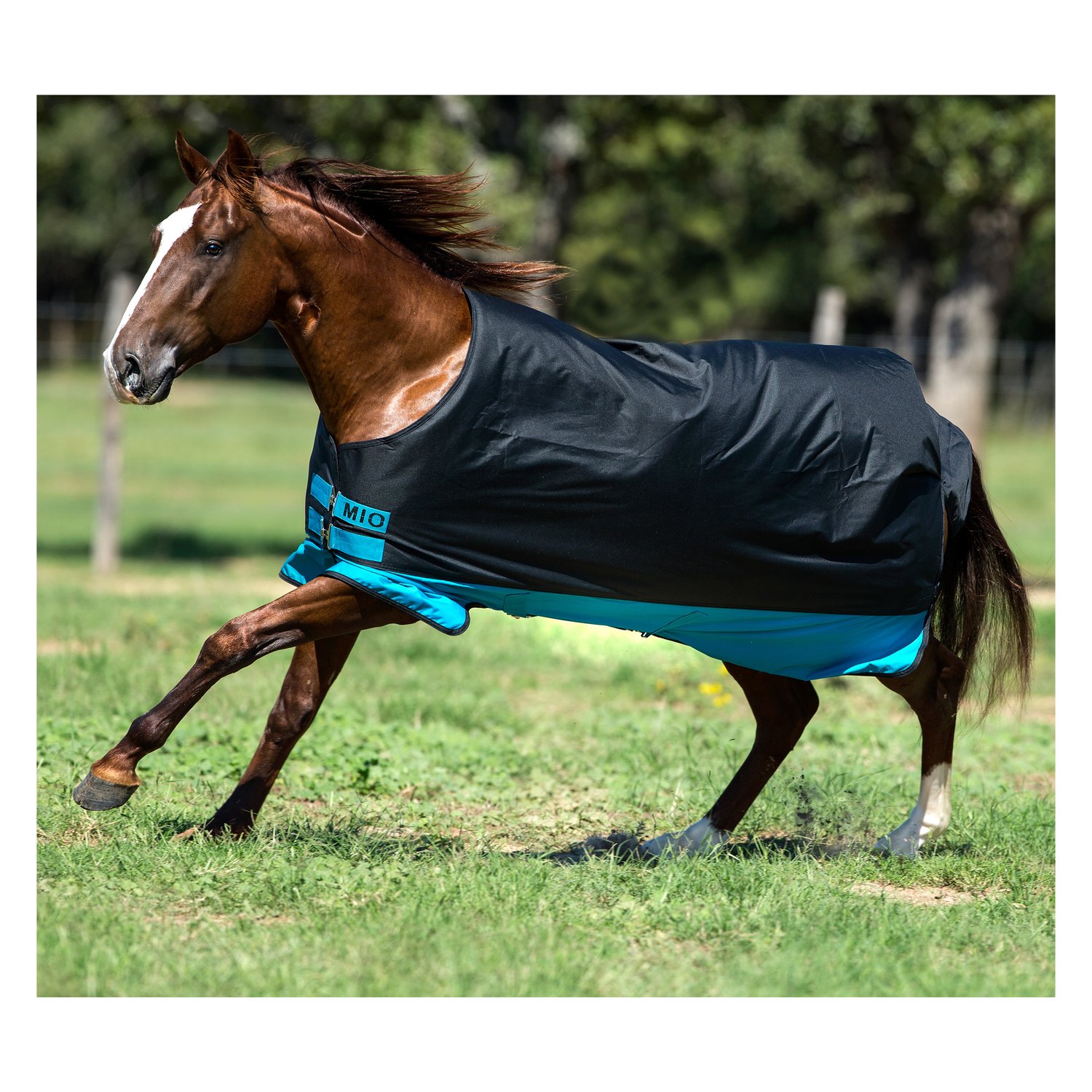 Horseware Outdoordecke MIO Turnout Lite – Ansicht 1