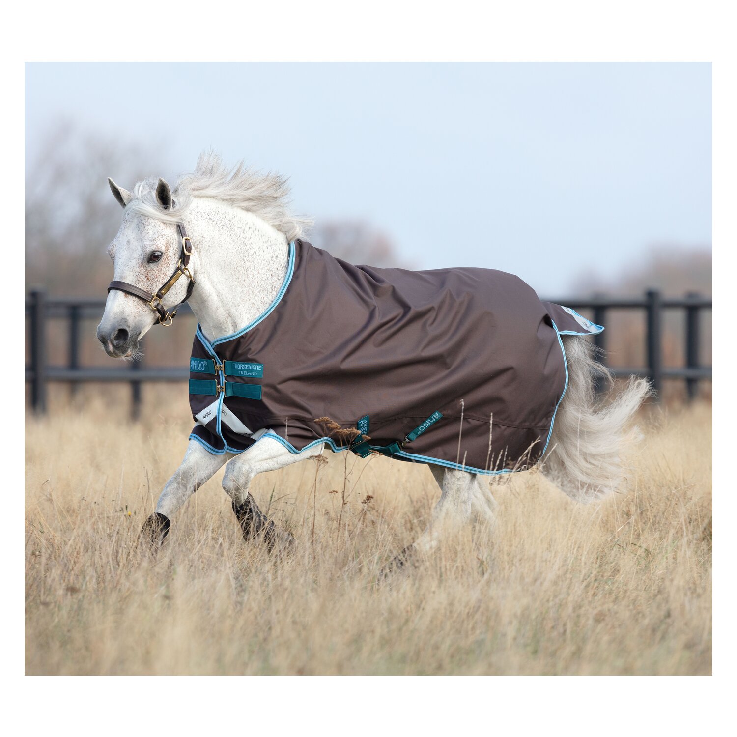 HORSEWARE Outdoordecke AMIGO Bravo 12 Lite Pony – Ansicht 1
