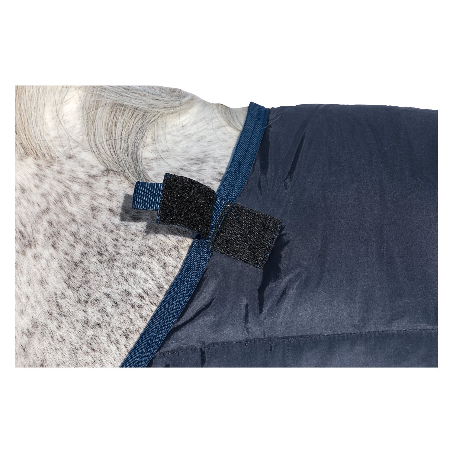 HORSEWARE Unterdecke – Ansicht 5