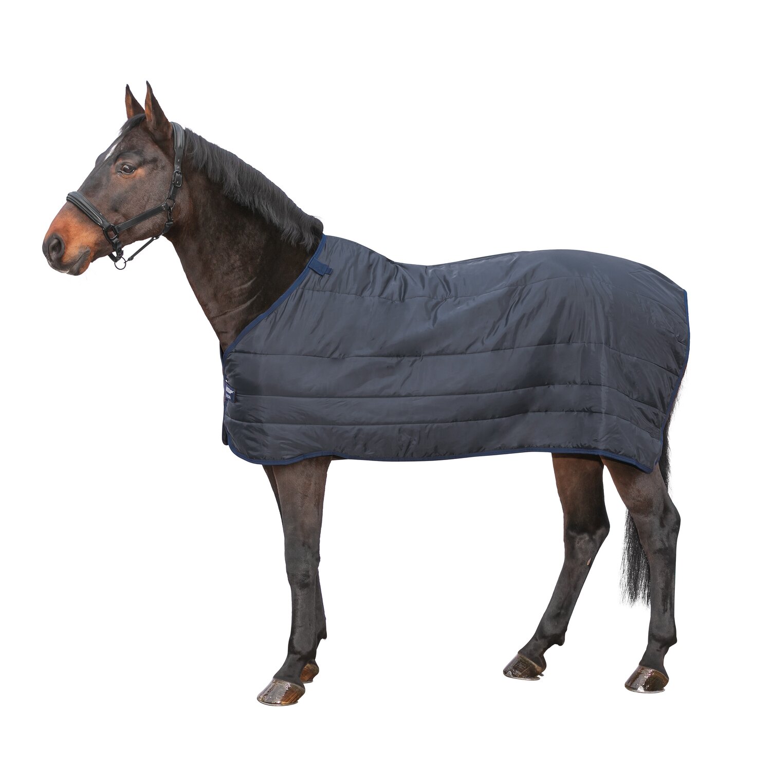 HORSEWARE Unterdecke – Ansicht 1