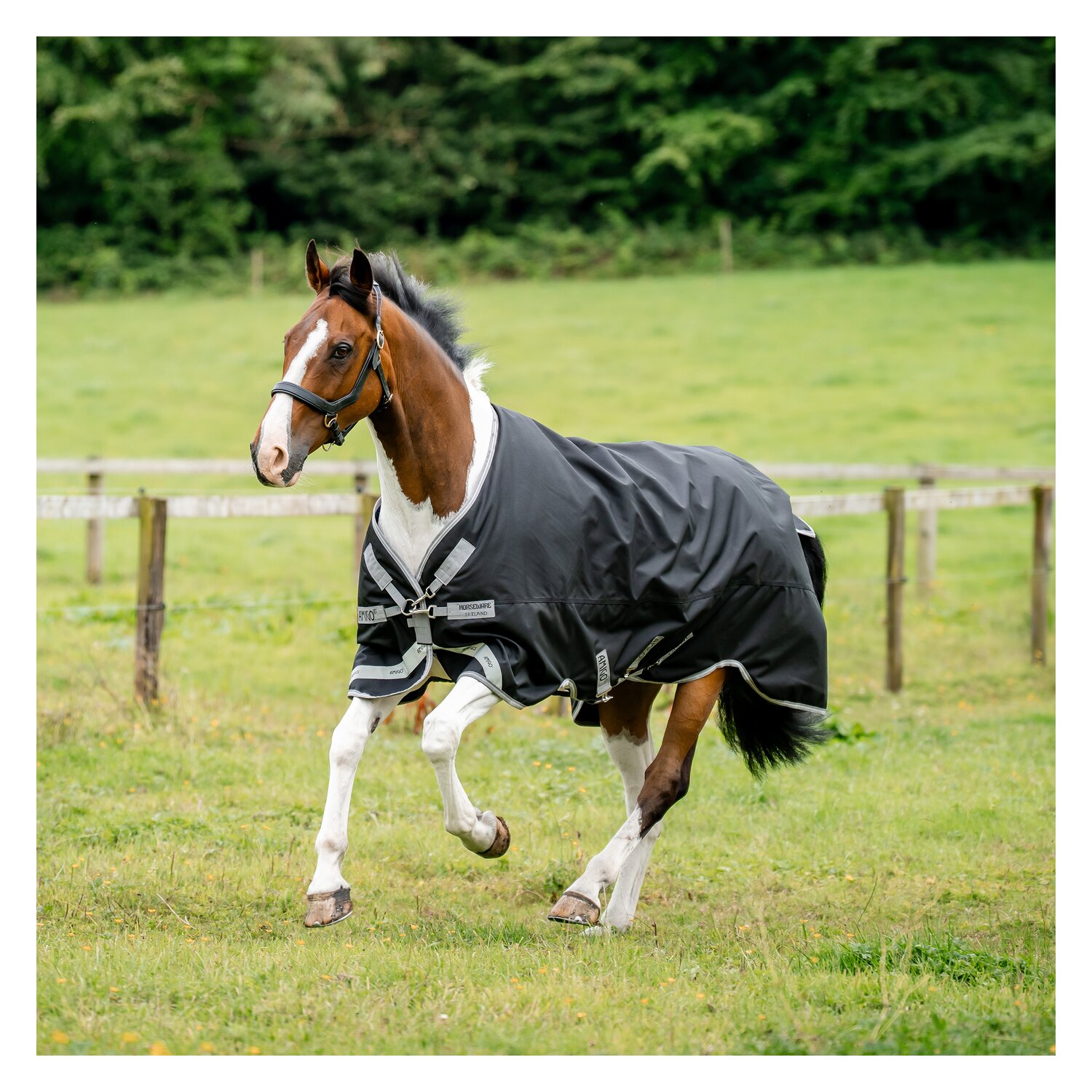 HORSEWARE Outdoordecke AMIGO 1200 D, 50g – Ansicht 1