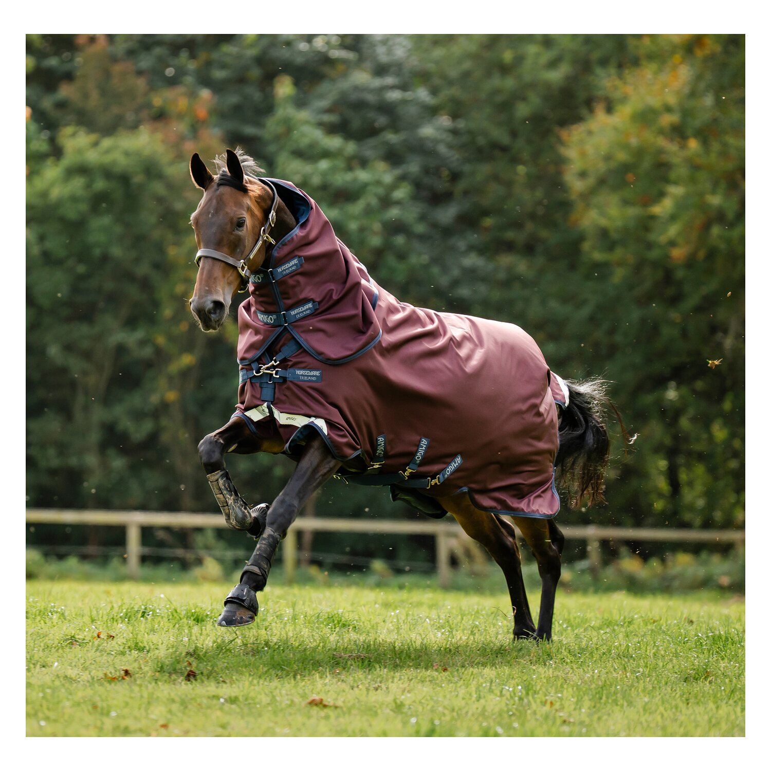 HORSEWARE Outdoordecke AMIGO 1200 D, 50g &ndash; Ansicht 7