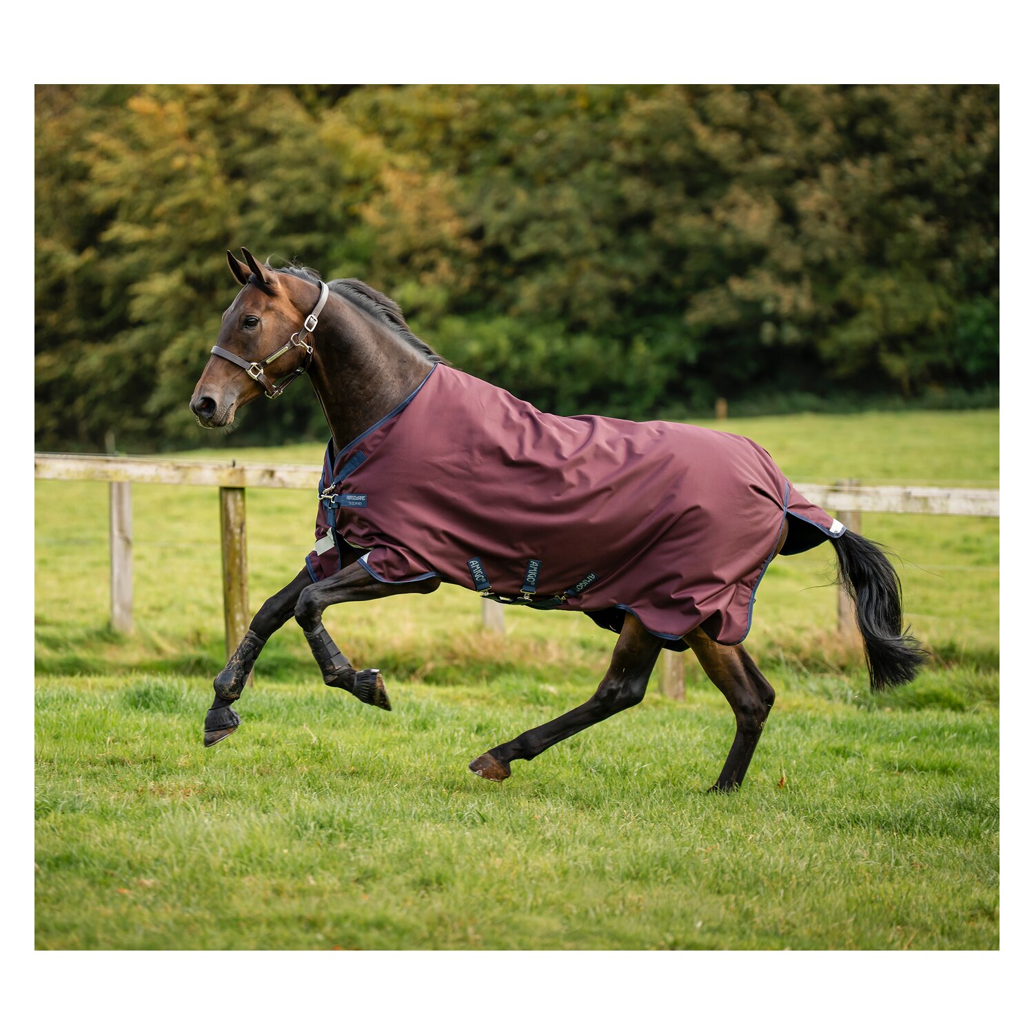HORSEWARE Outdoordecke AMIGO 1200 D, 50g &ndash; Ansicht 8