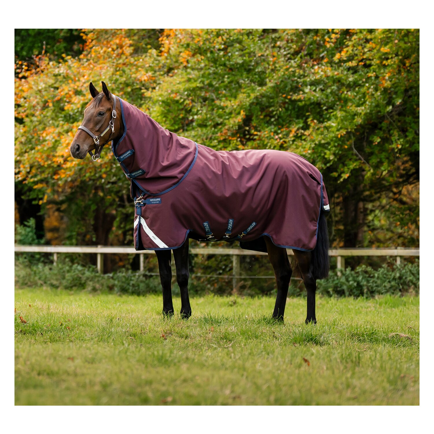 HORSEWARE Outdoordecke AMIGO 1200 D, 50g &ndash; Ansicht 9