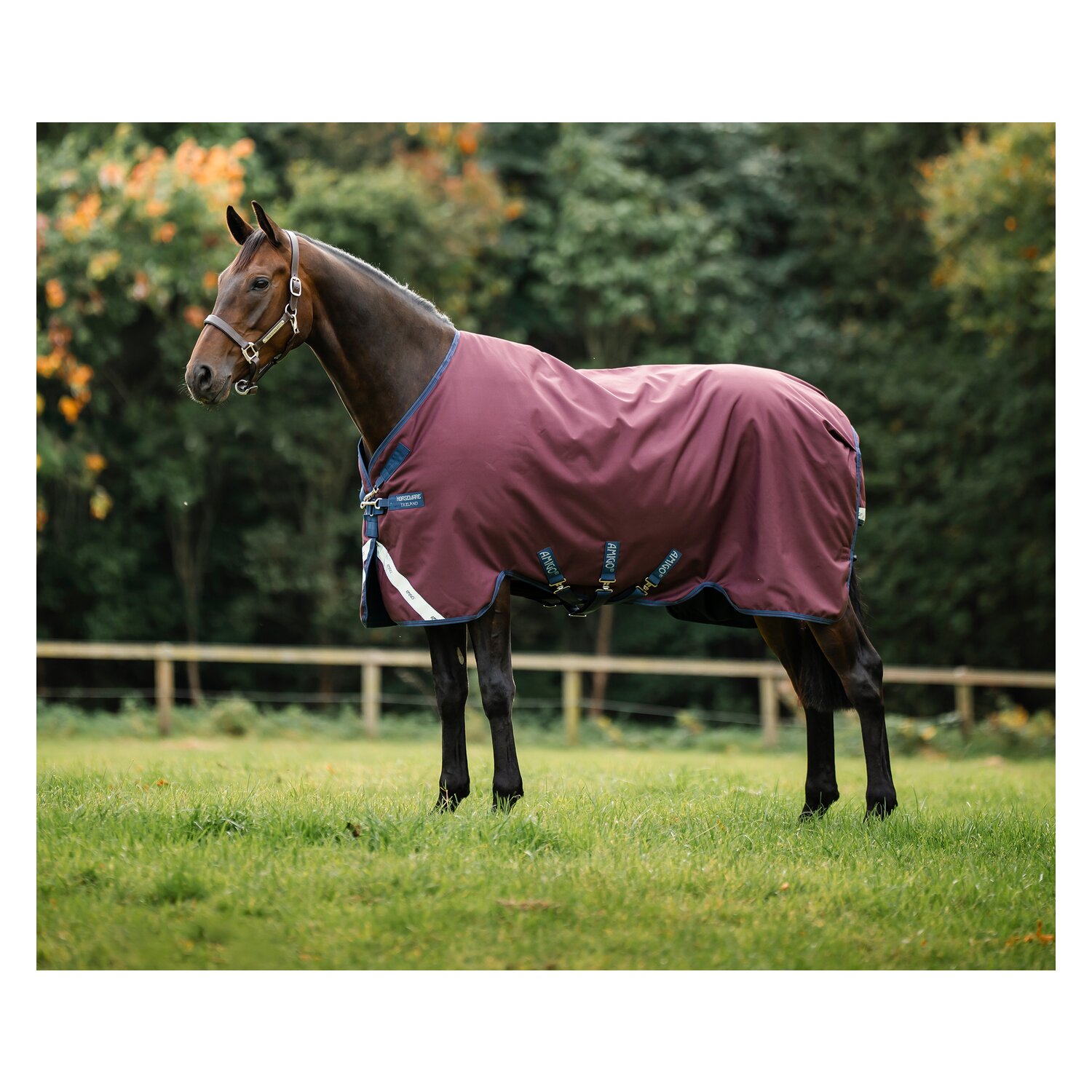 HORSEWARE Outdoordecke AMIGO 1200 D, 50g &ndash; Ansicht 10