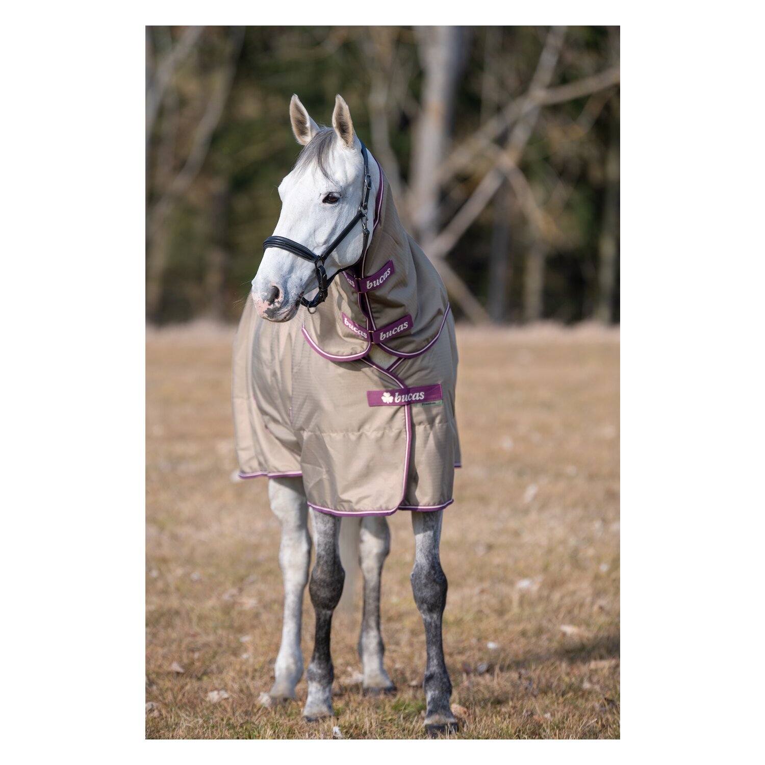 bucas Outdoordecke Freedom Turnout Rug 50 g &ndash; Ansicht 4