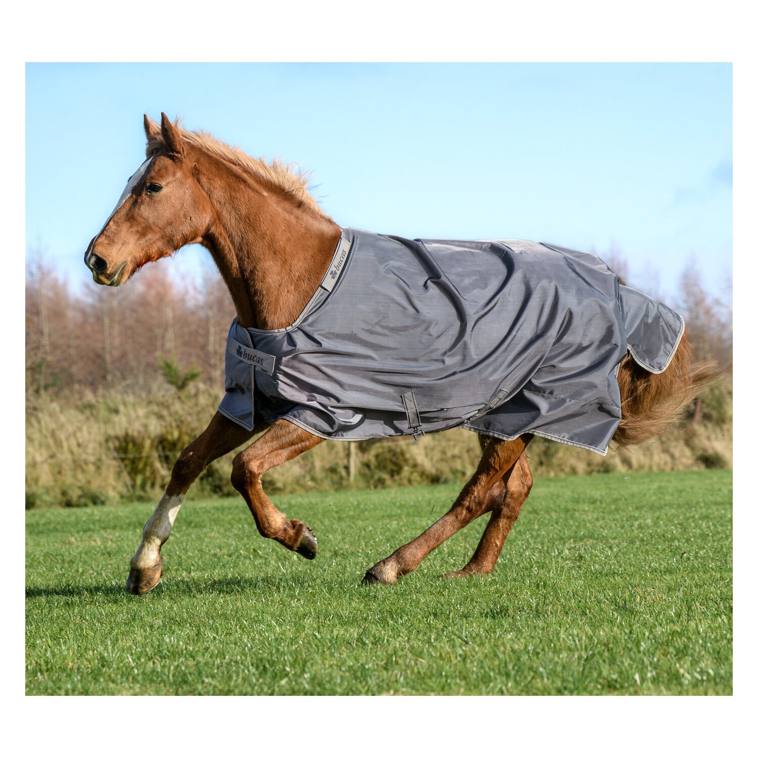 bucas Outdoordecke Smartex Rain – Ansicht 2