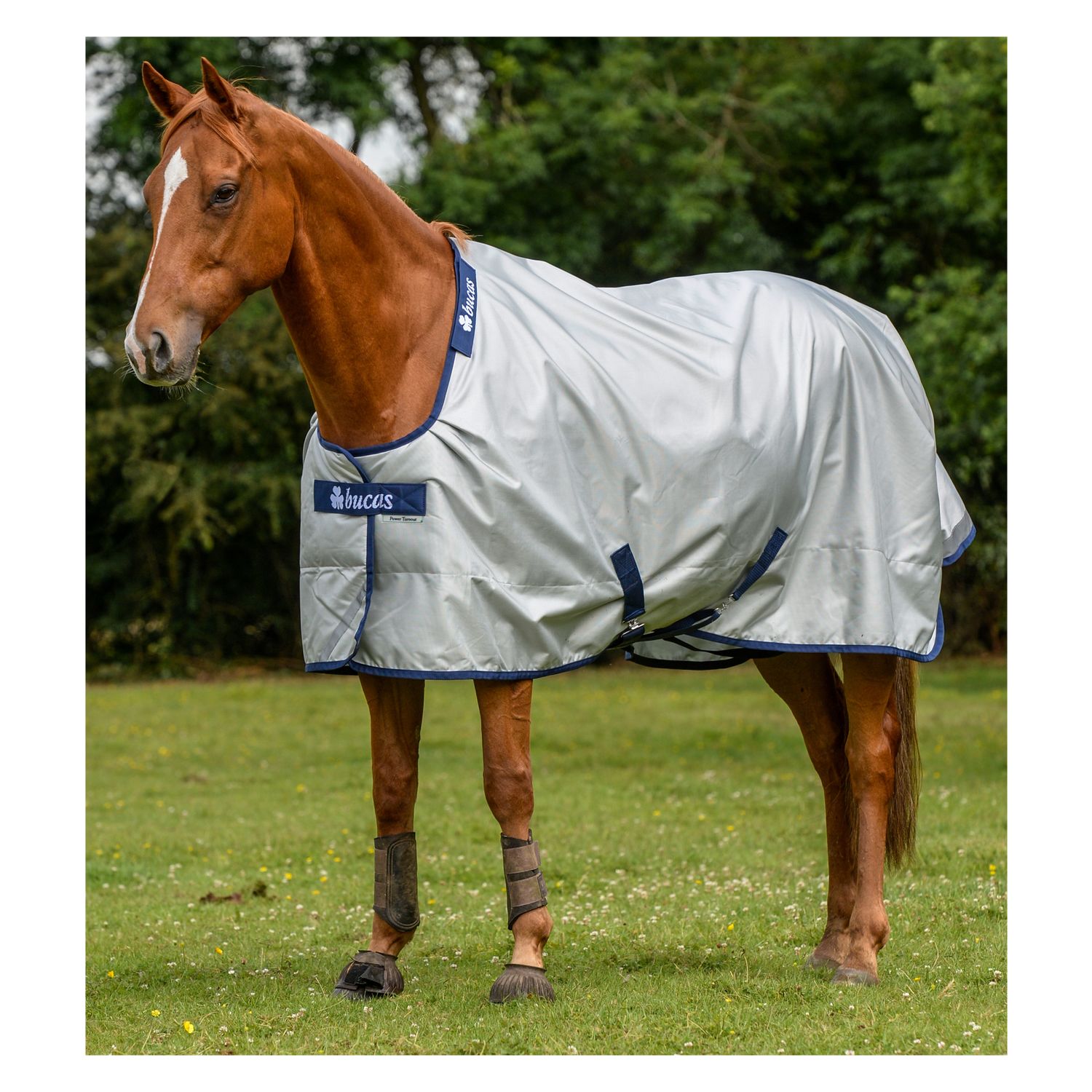 bucas Outdoordecke Power Turnout Classic Light – Ansicht 2