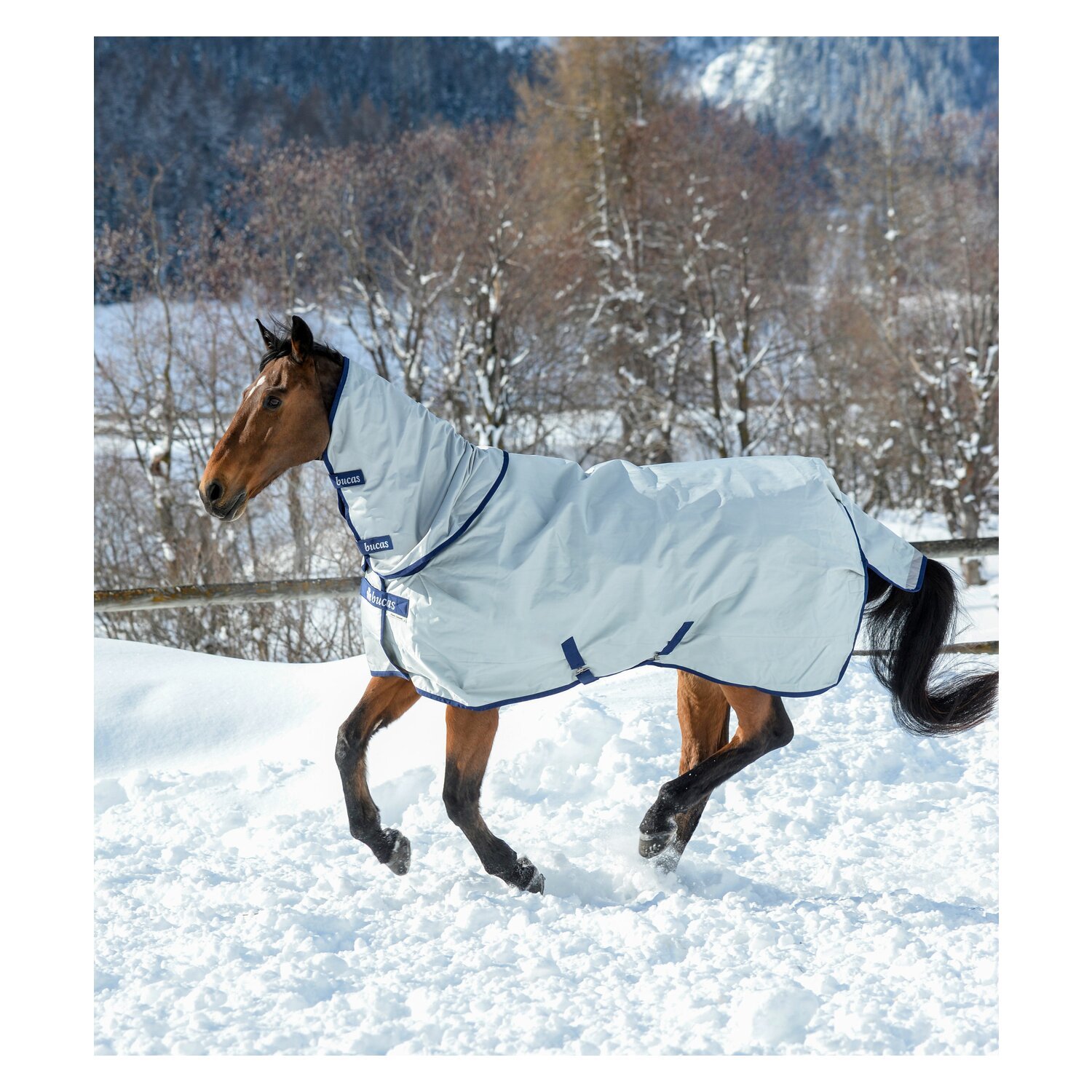 bucas Outdoordecke Power Turnout Classic Light – Ansicht 3