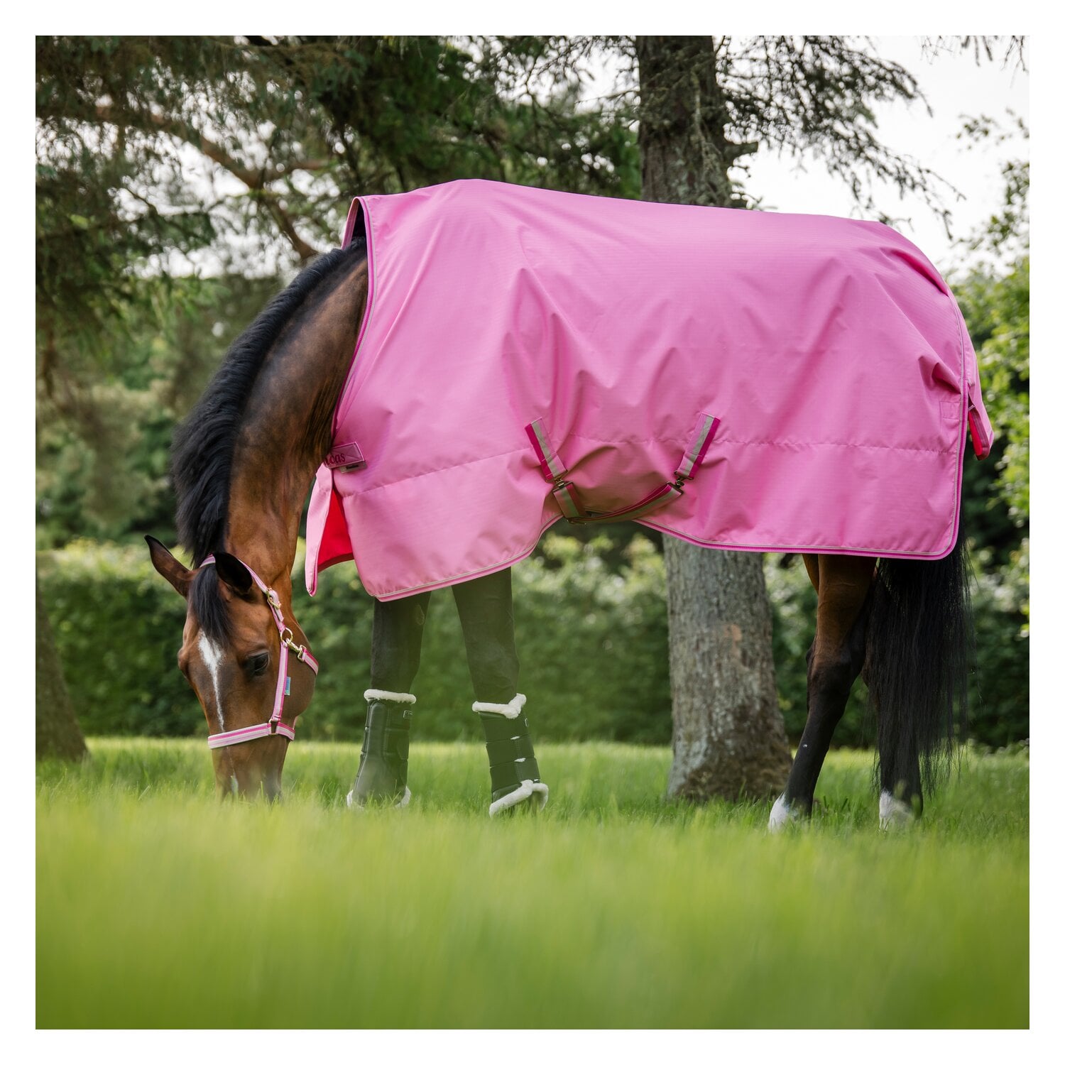 bucas Outdoordecke Freedom Turnout Light &ndash; Ansicht 2