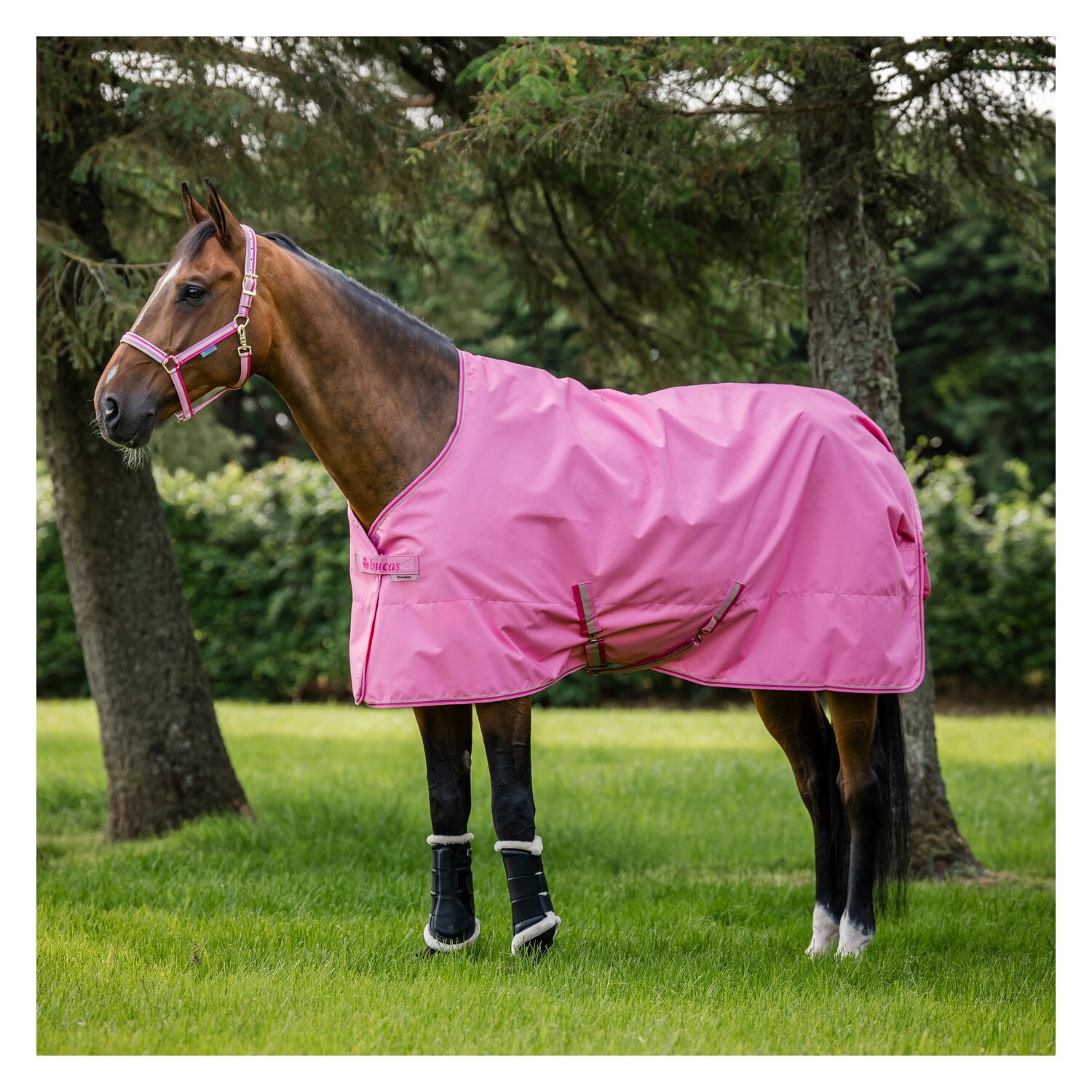 bucas Outdoordecke Freedom Turnout Light &ndash; Ansicht 1