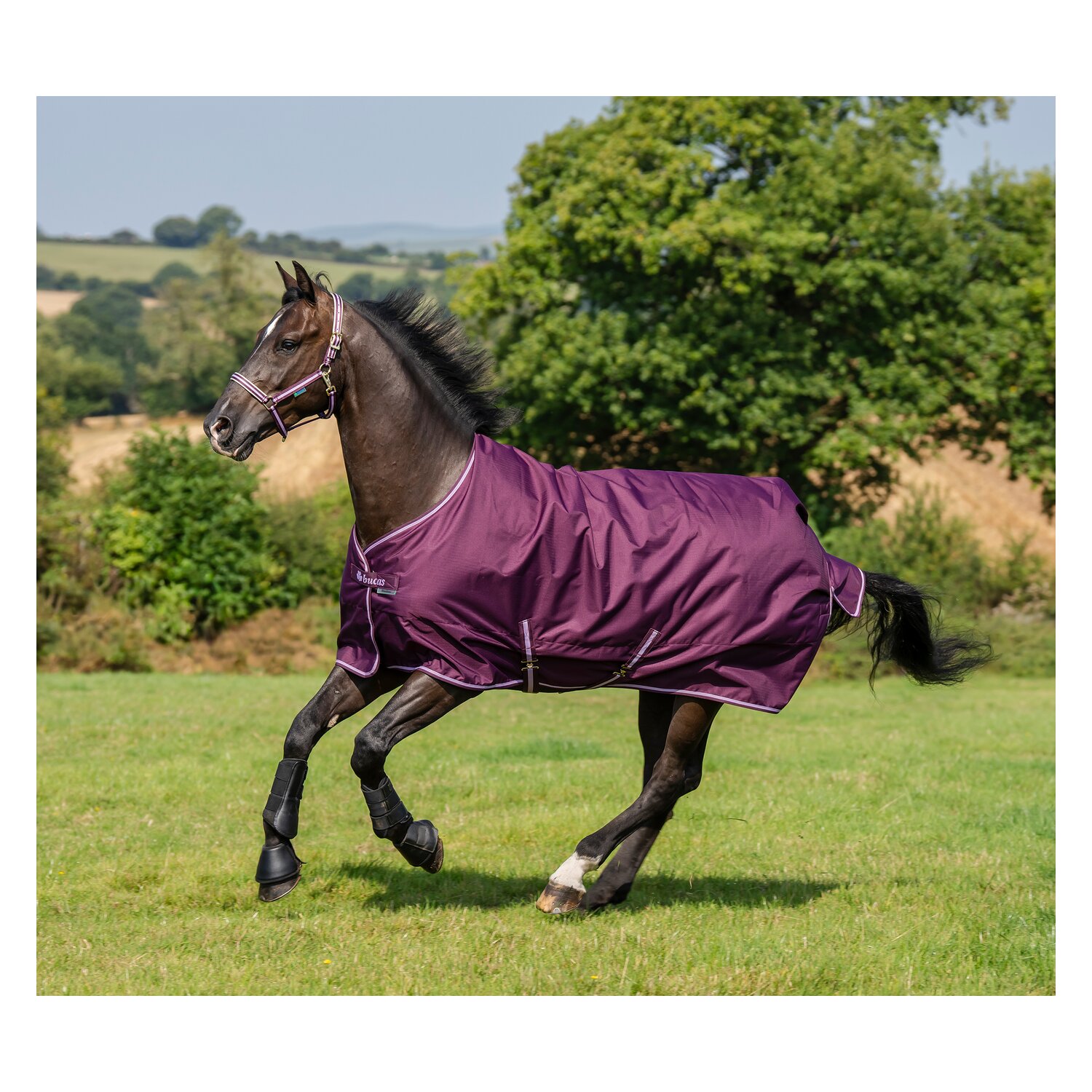 bucas Outdoordecke Freedom Turnout Light &ndash; Ansicht 2
