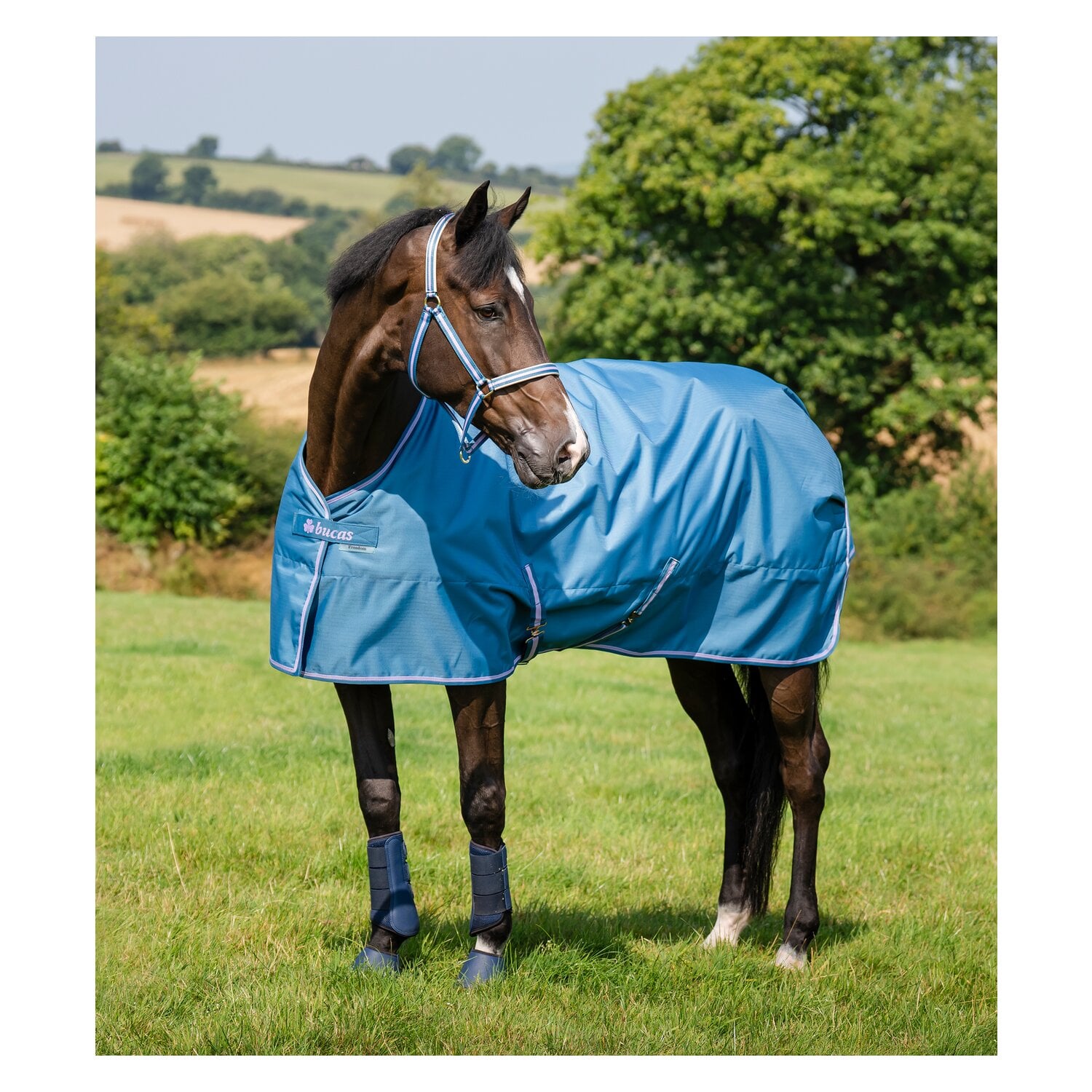bucas Outdoordecke Freedom Turnout Light &ndash; Ansicht 2