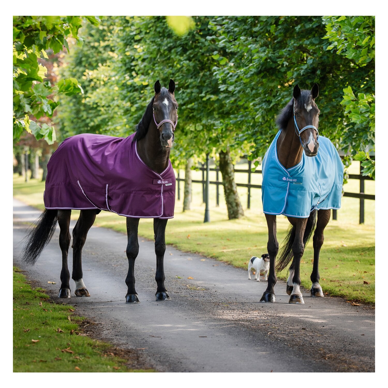 bucas Outdoordecke Freedom Turnout Light &ndash; Ansicht 3