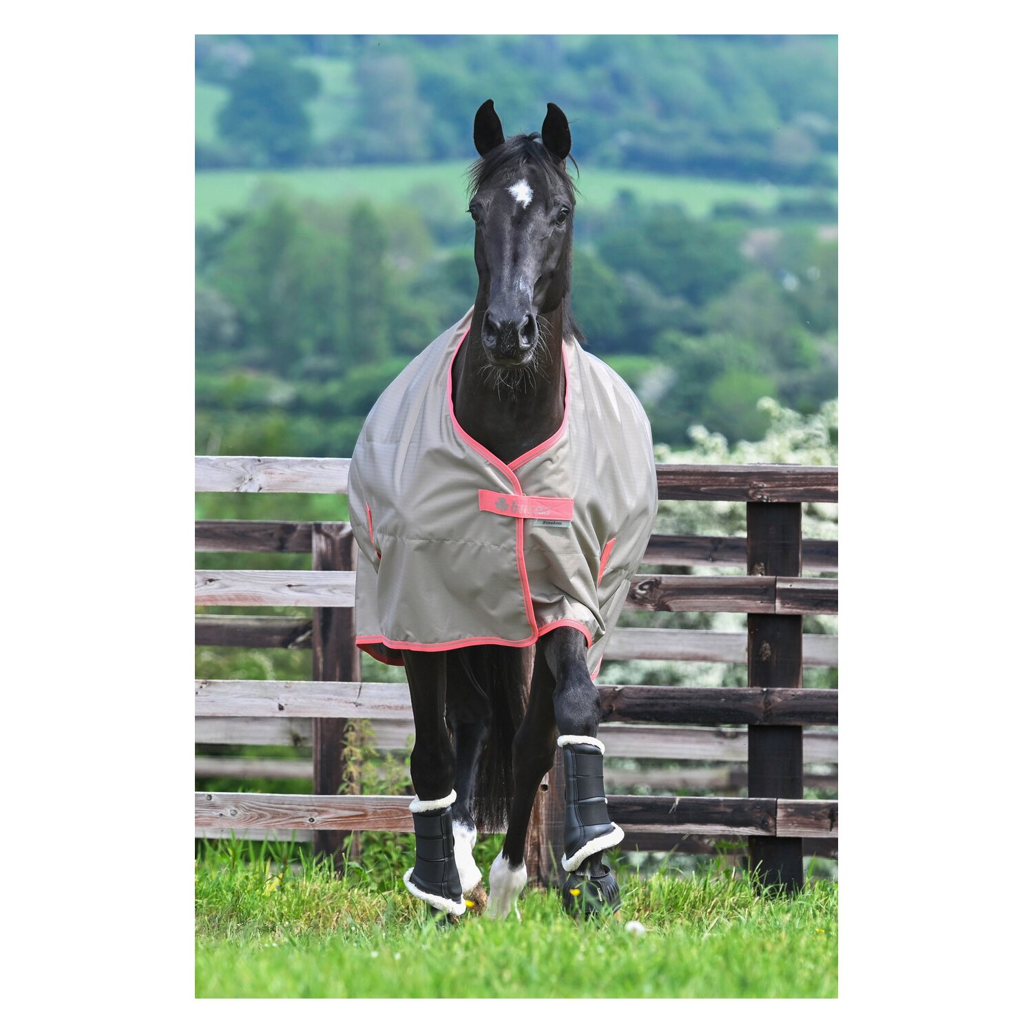 bucas Outdoordecke Freedom Turnout Light – Ansicht 2