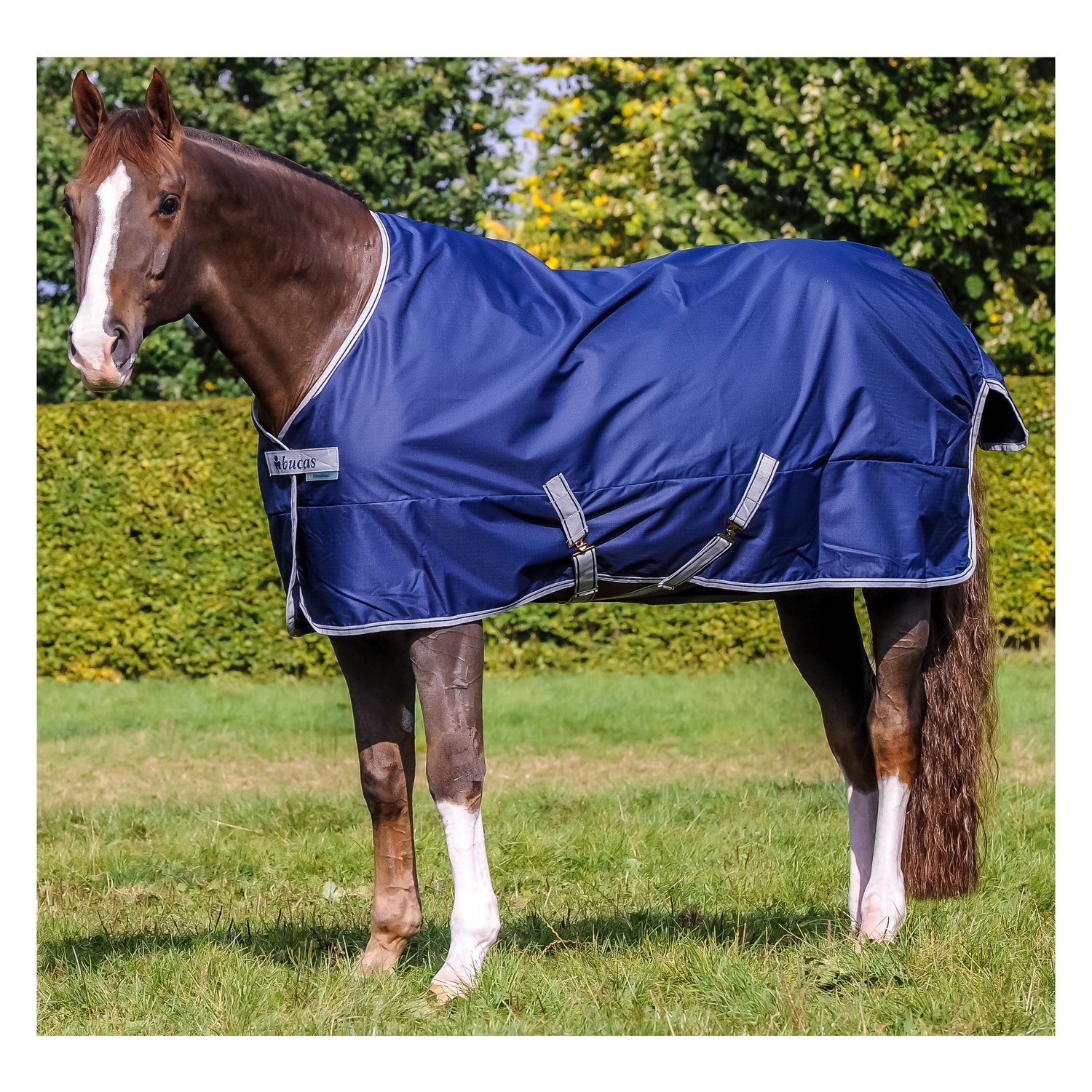 bucas Outdoordecke Freedom Turnout Light – Ansicht 1